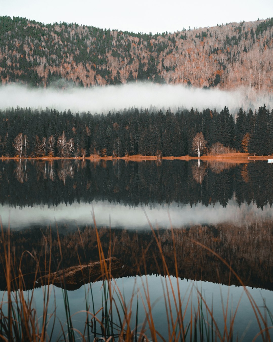 Nature reserve photo spot Lacul SfÃ¢nta Ana Moieciu