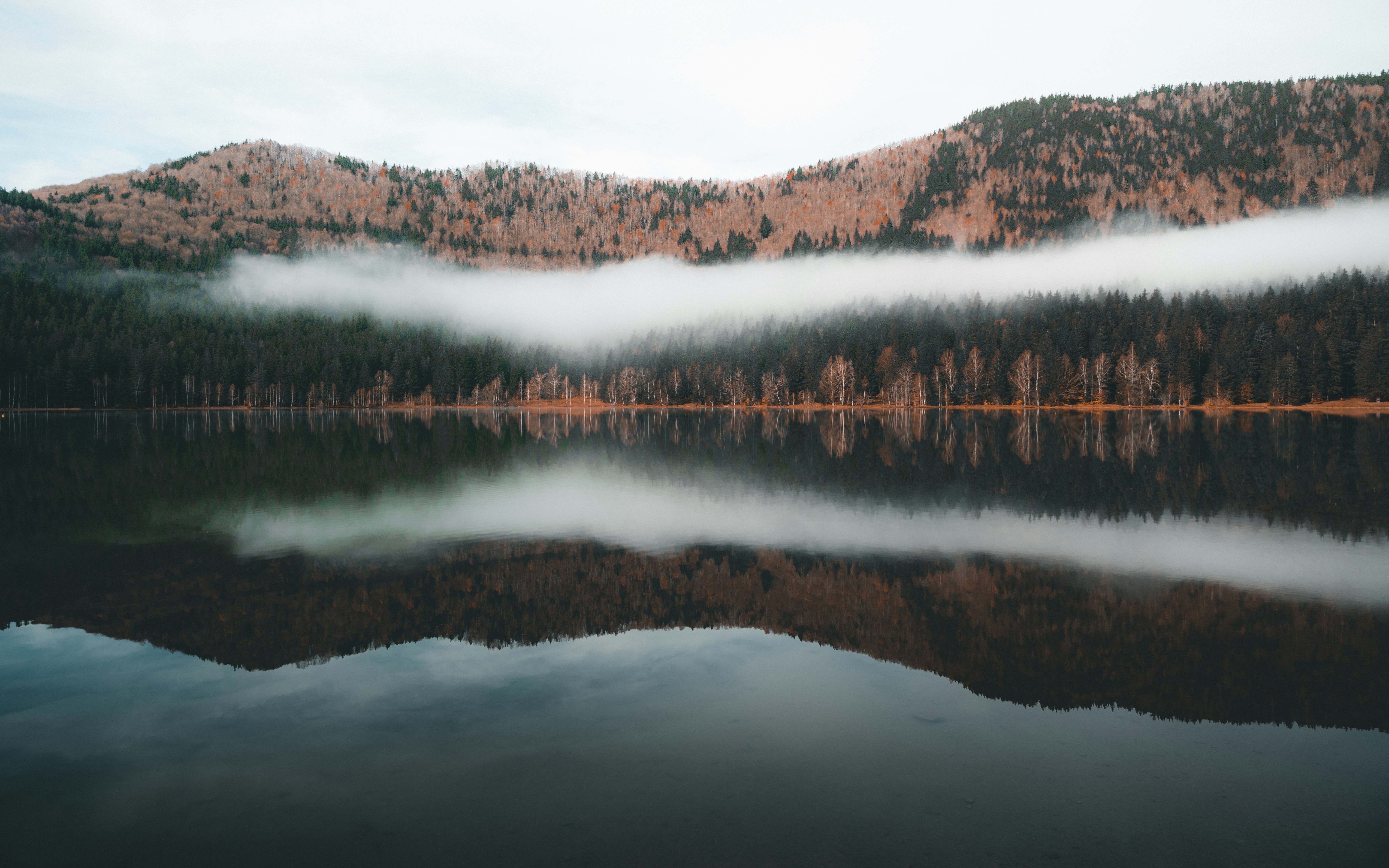 Photo by tamas_tuzeskatai