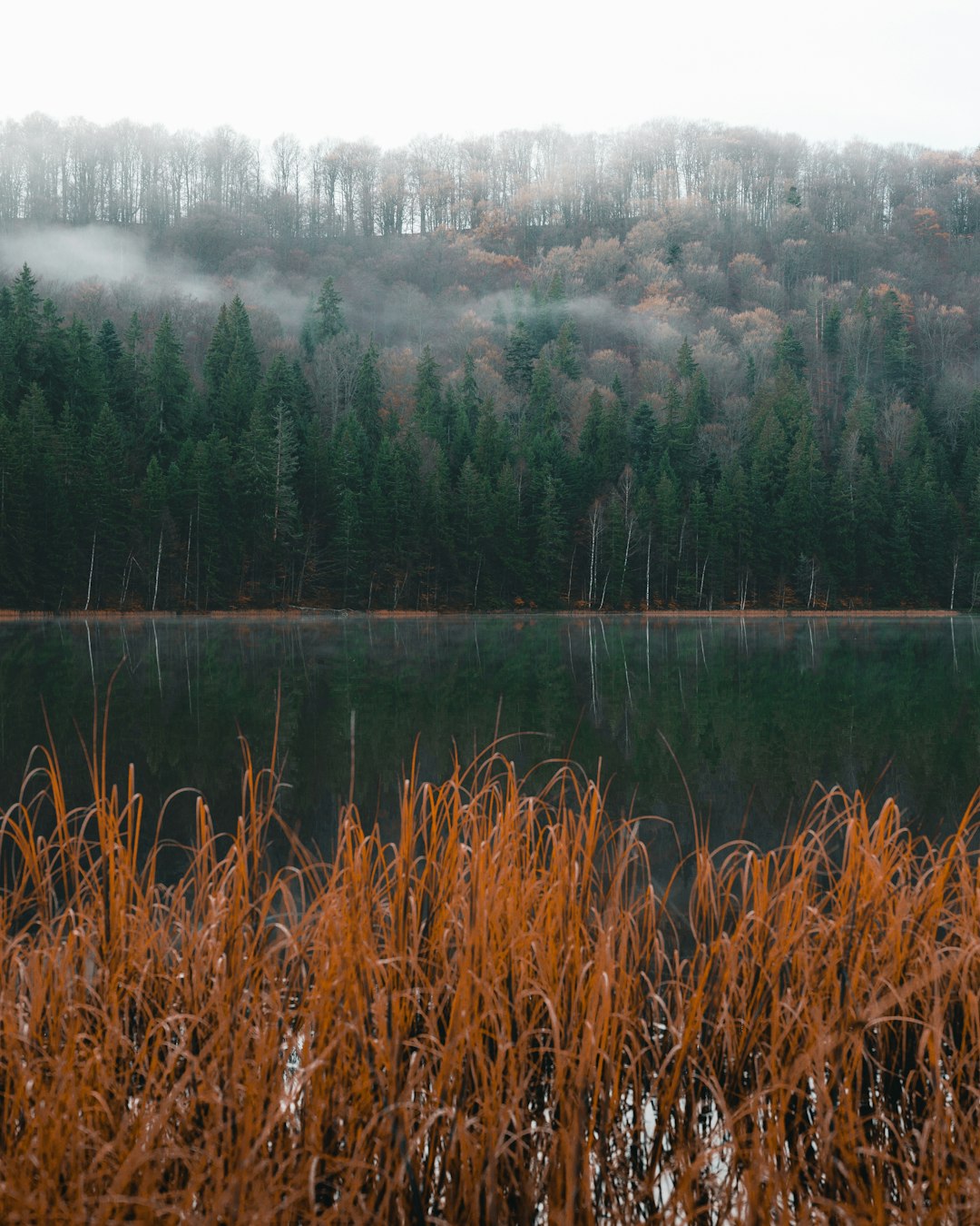 Nature reserve photo spot Lacul SfÃ¢nta Ana Comuna Chiojdu