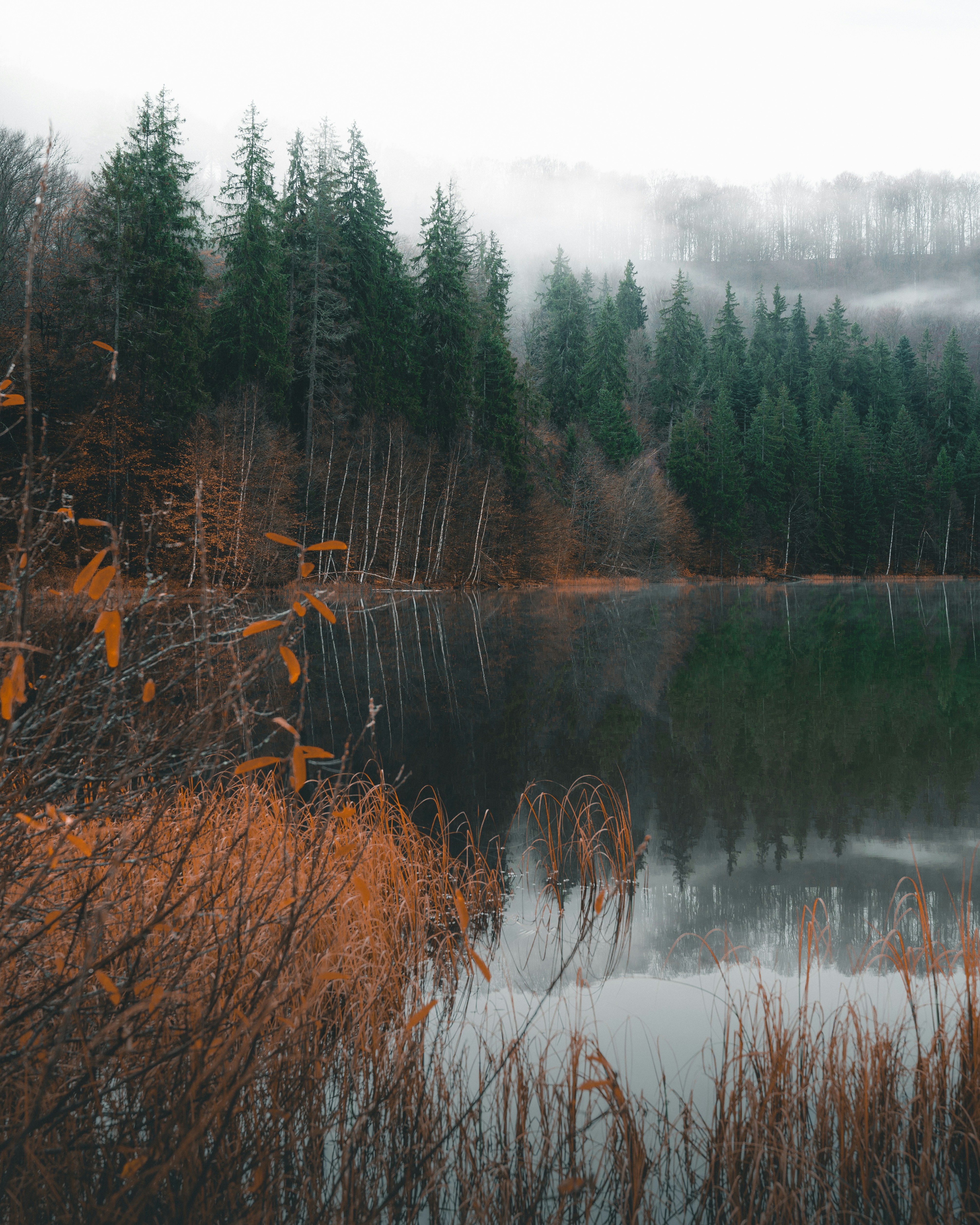 Photo by tamas_tuzeskatai