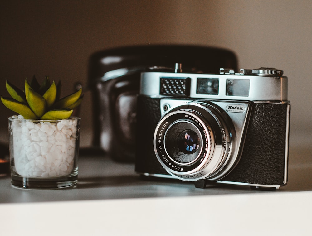 black and gray Kodak point-and-shoot camera beside green succulents