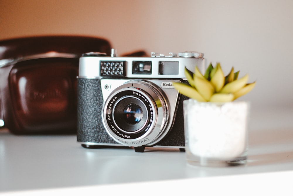 grey Kodak camera beside succulents