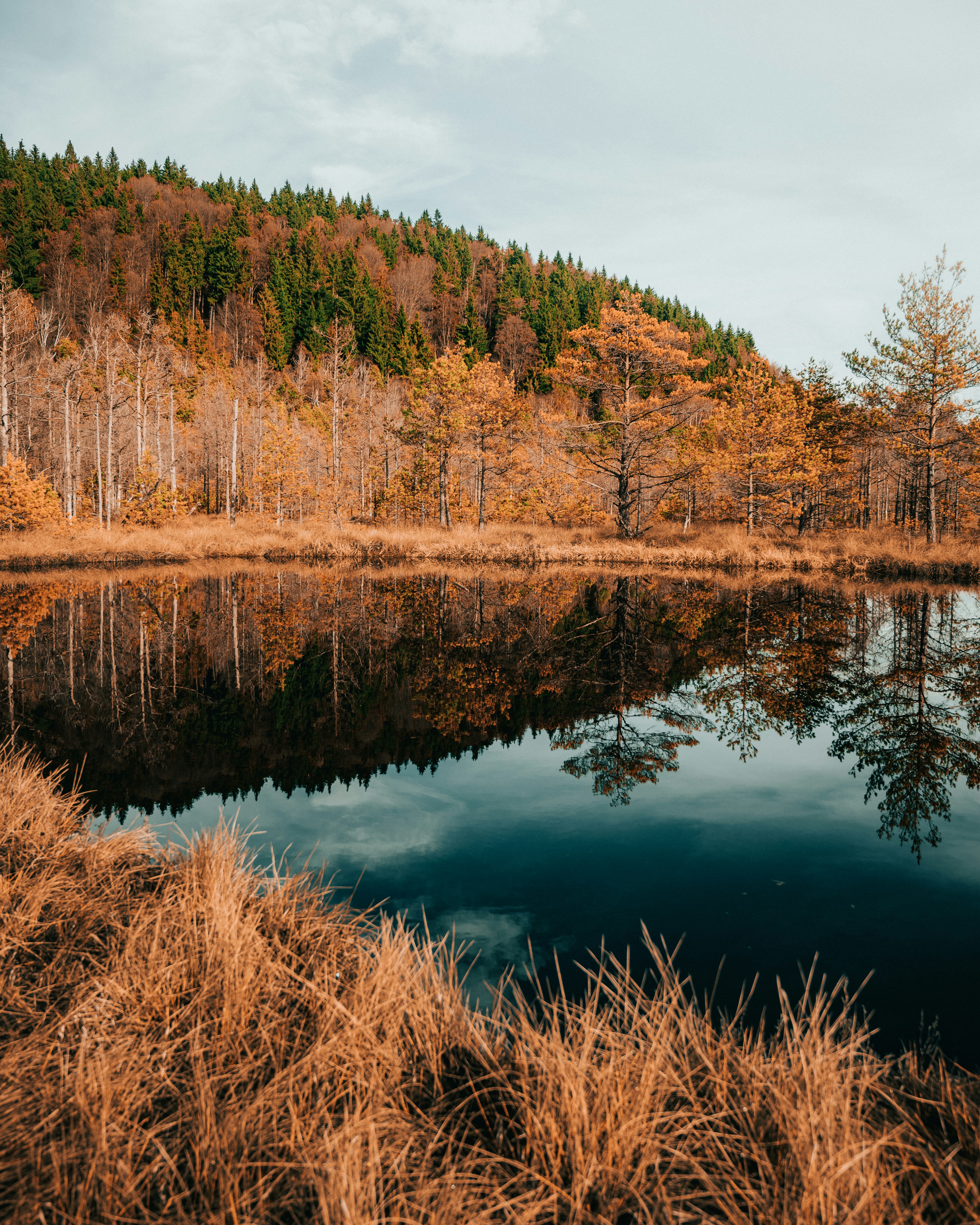 Photo by tamas_tuzeskatai