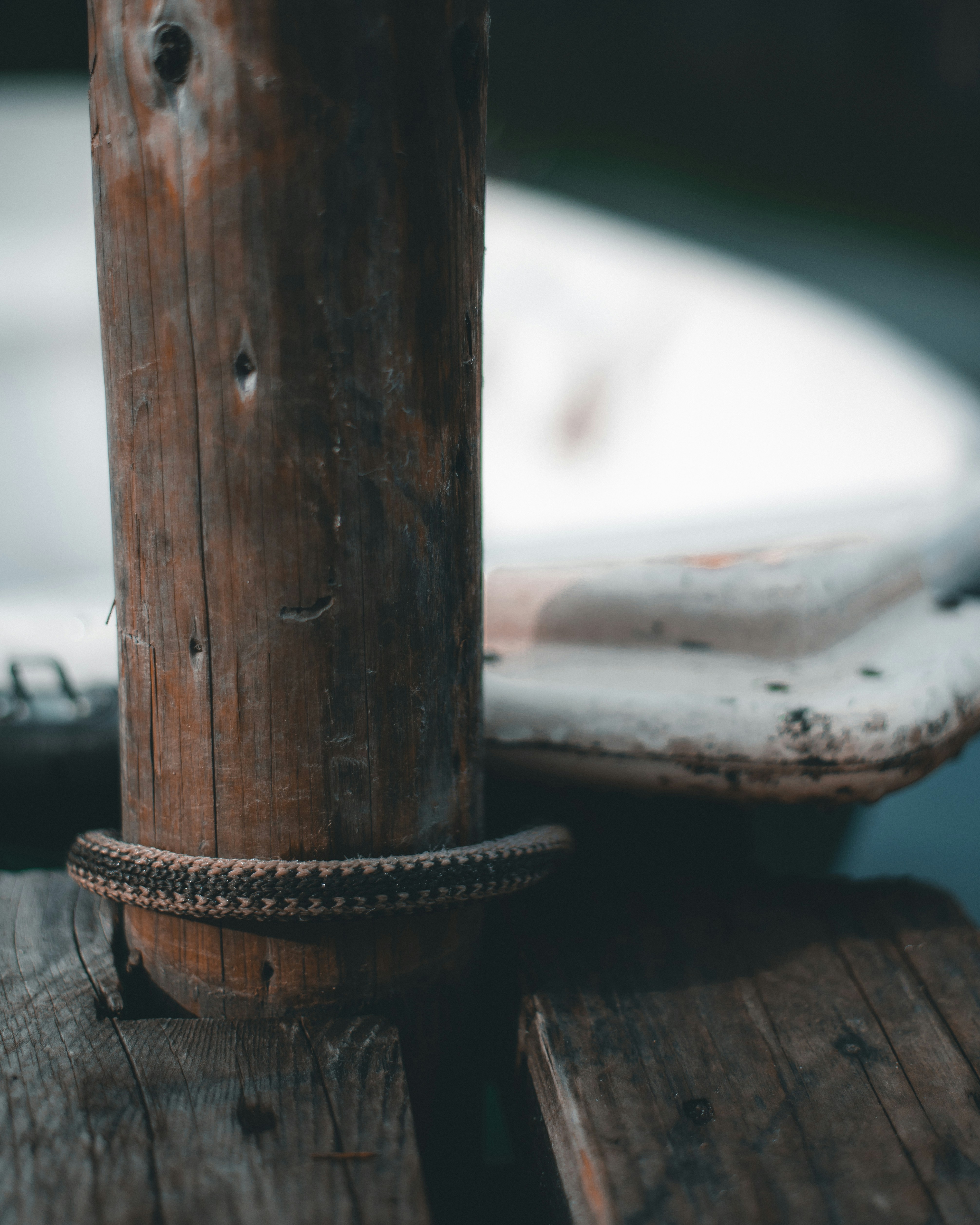 Photo by tamas_tuzeskatai