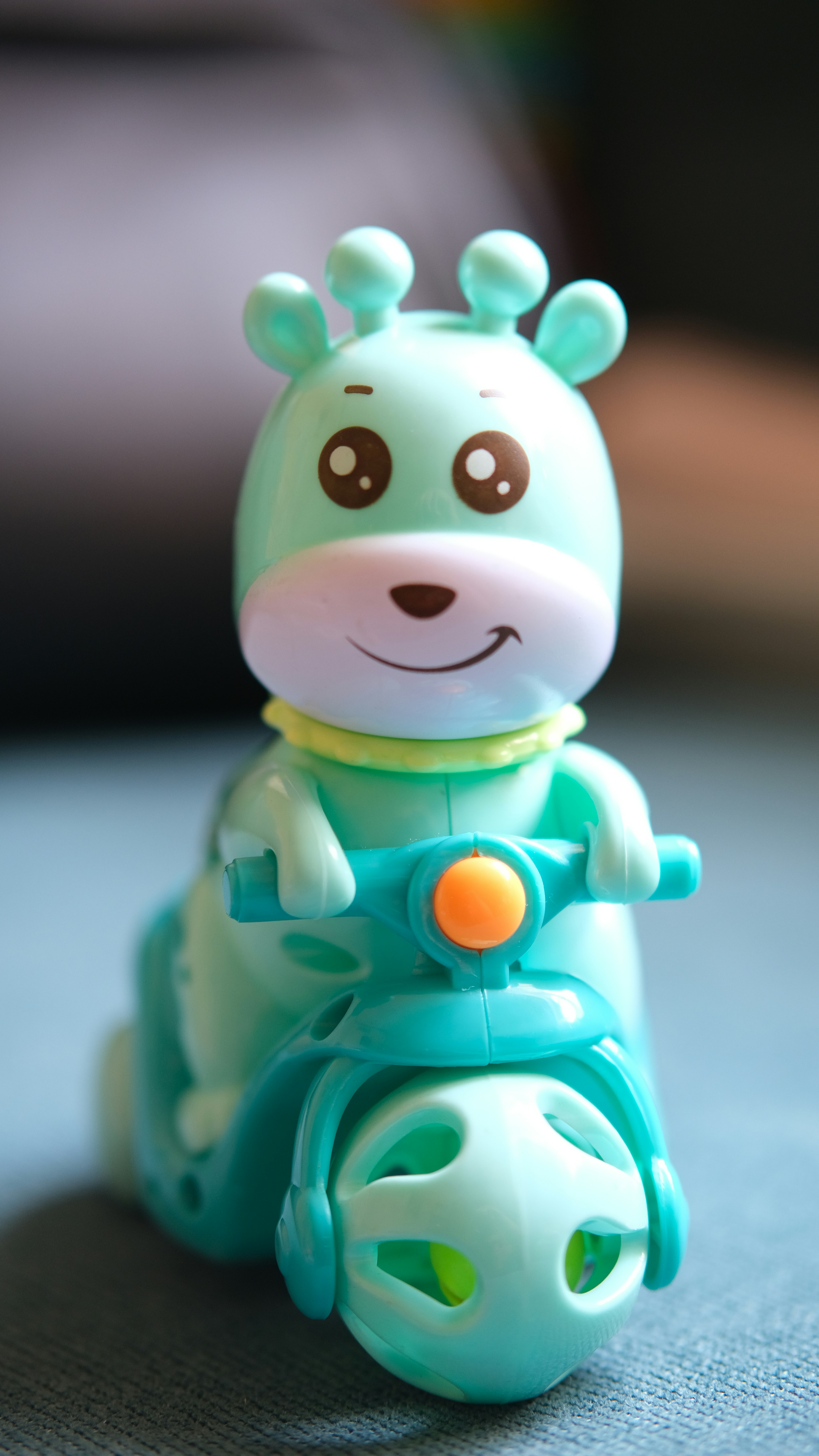 Photo by renichinguyen