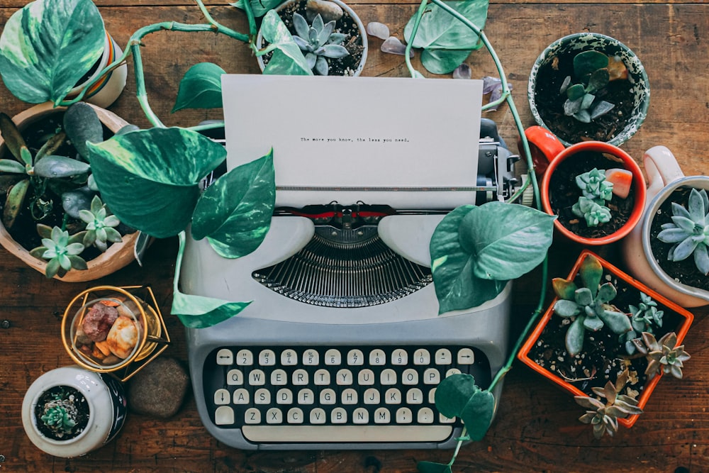 flat lay photography of a typewriter surrounded by succulents