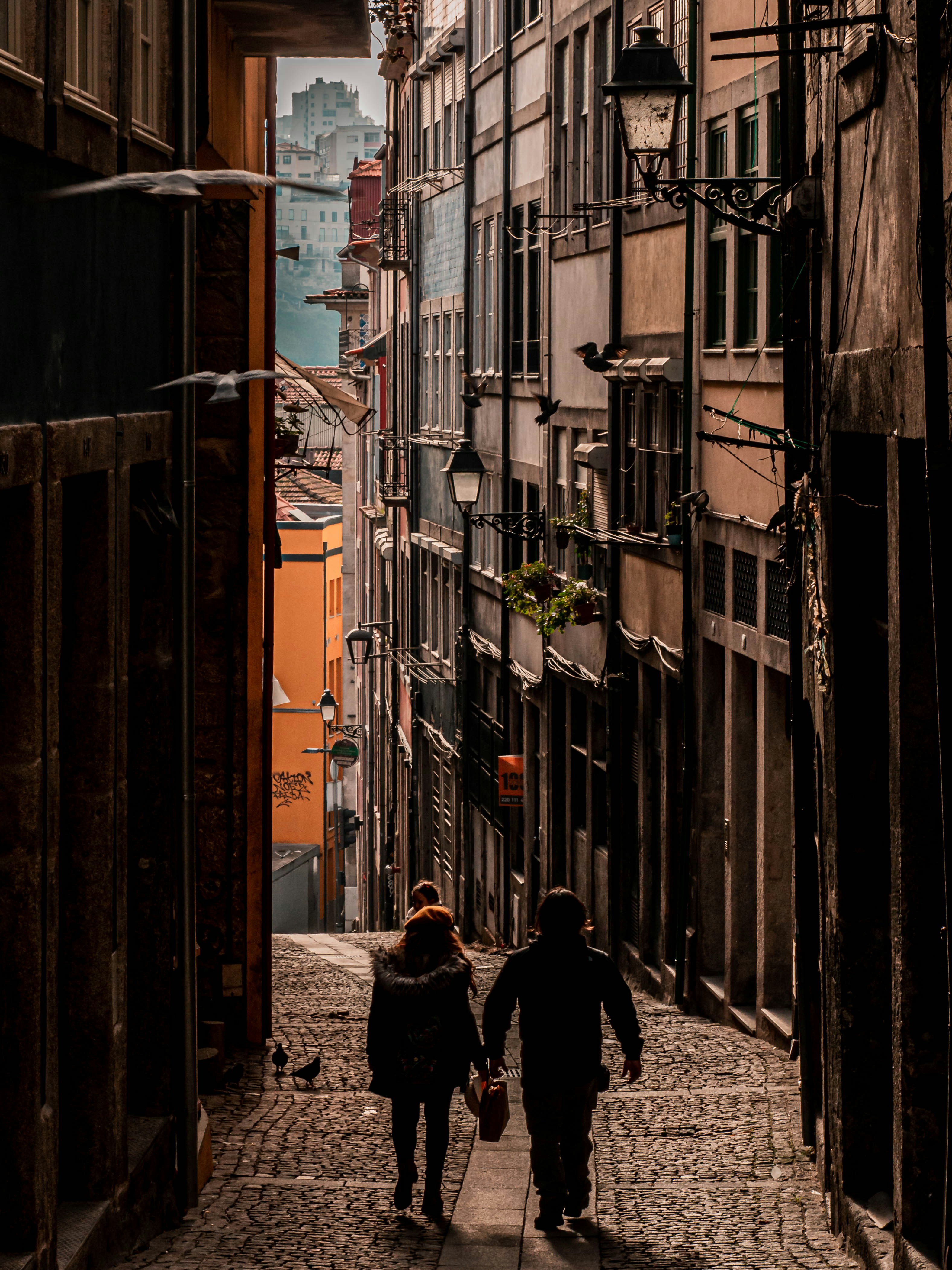 Photo by fedorchenkoalina