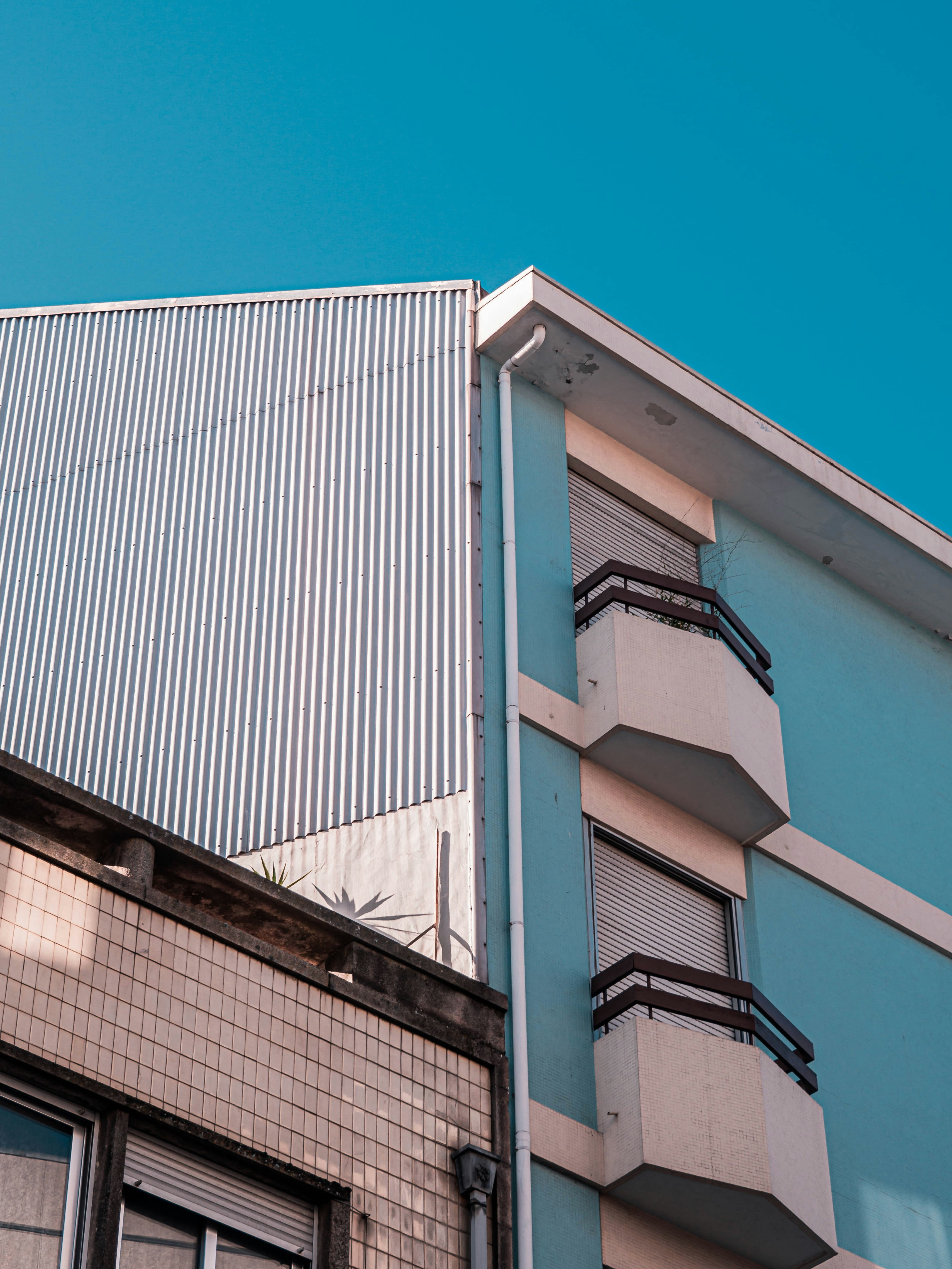 Photo by fedorchenkoalina