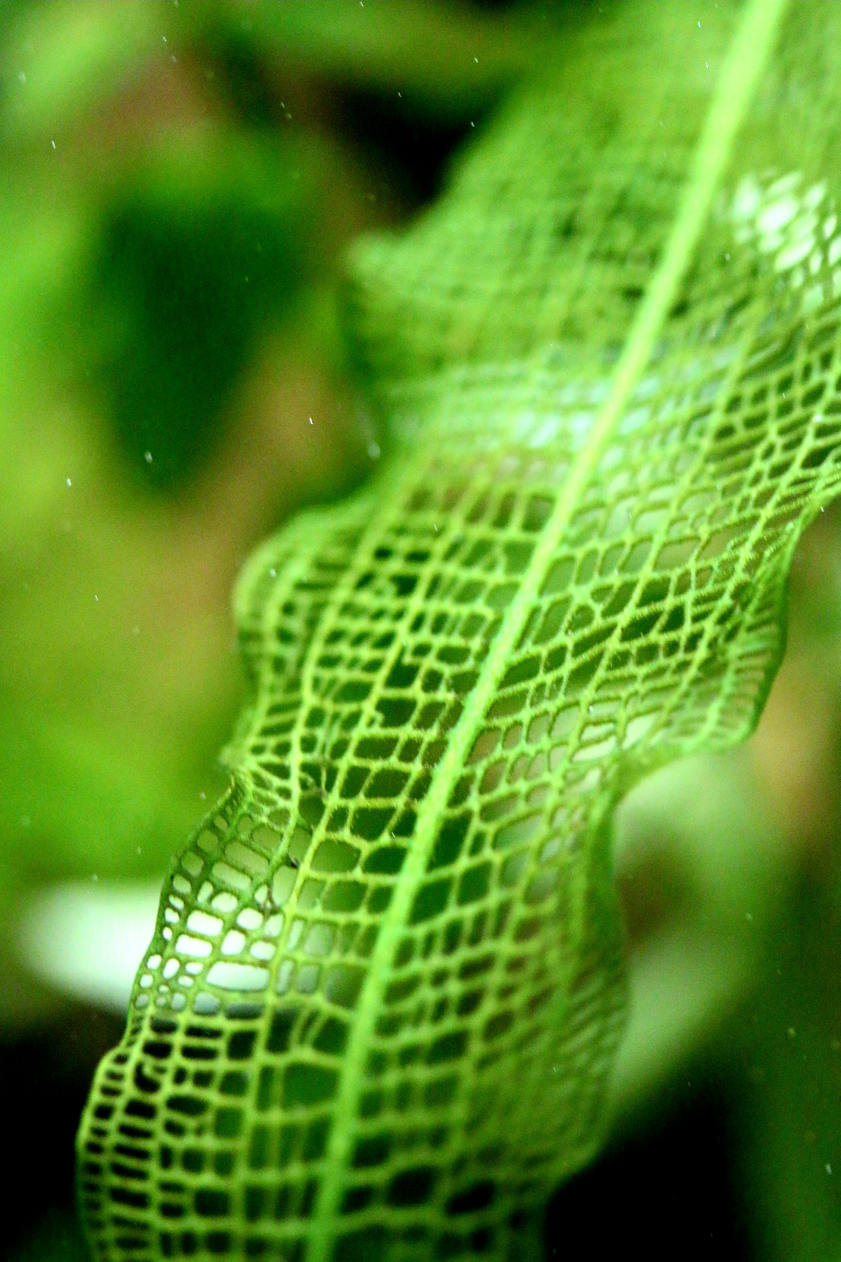 Photo by richardworks