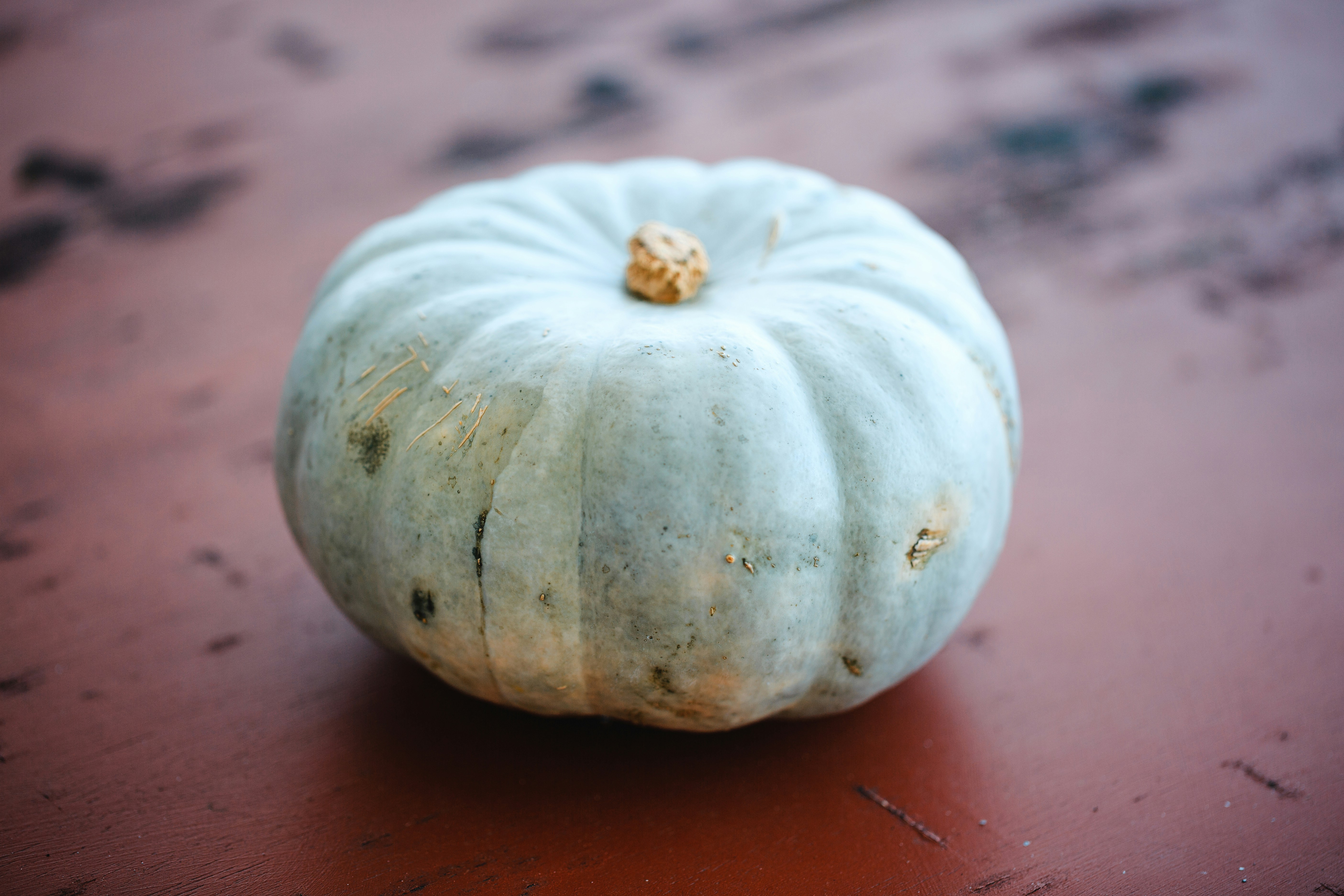 Photo by kristof_topolewski