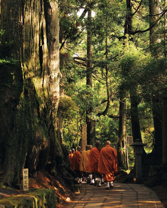 monks walking on pathway surrounded with trees in Kōyasan Station Japan