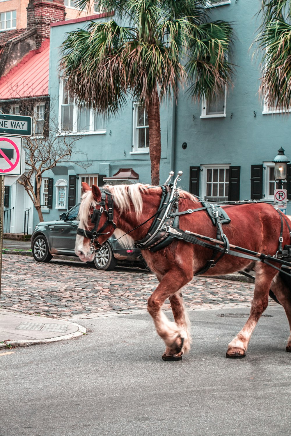 brown horse with carriage