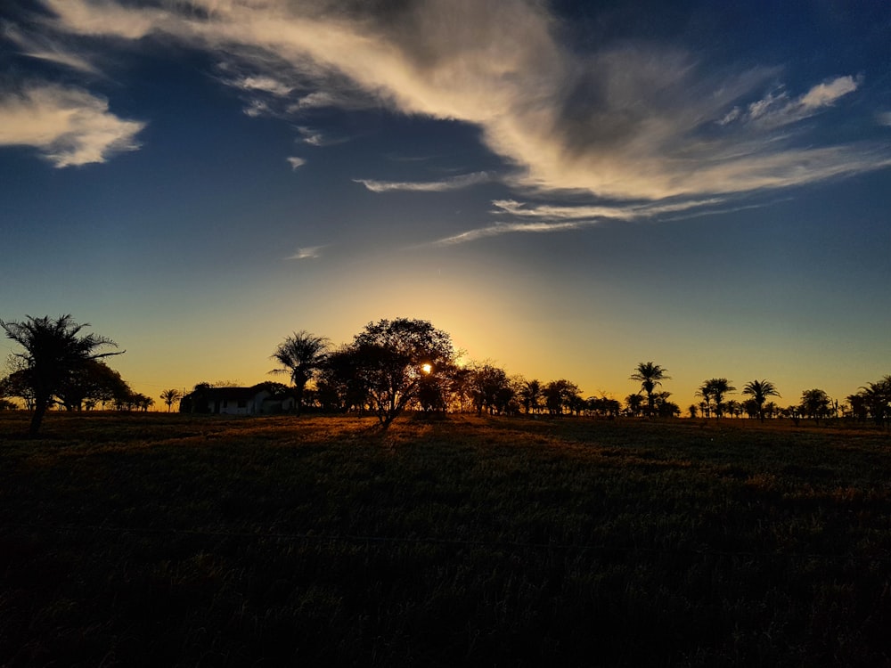 grass field near trees under cloudy sky