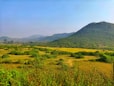 green hill