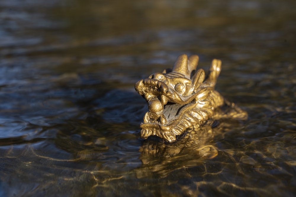 gold-colored dragon figurine on body of water