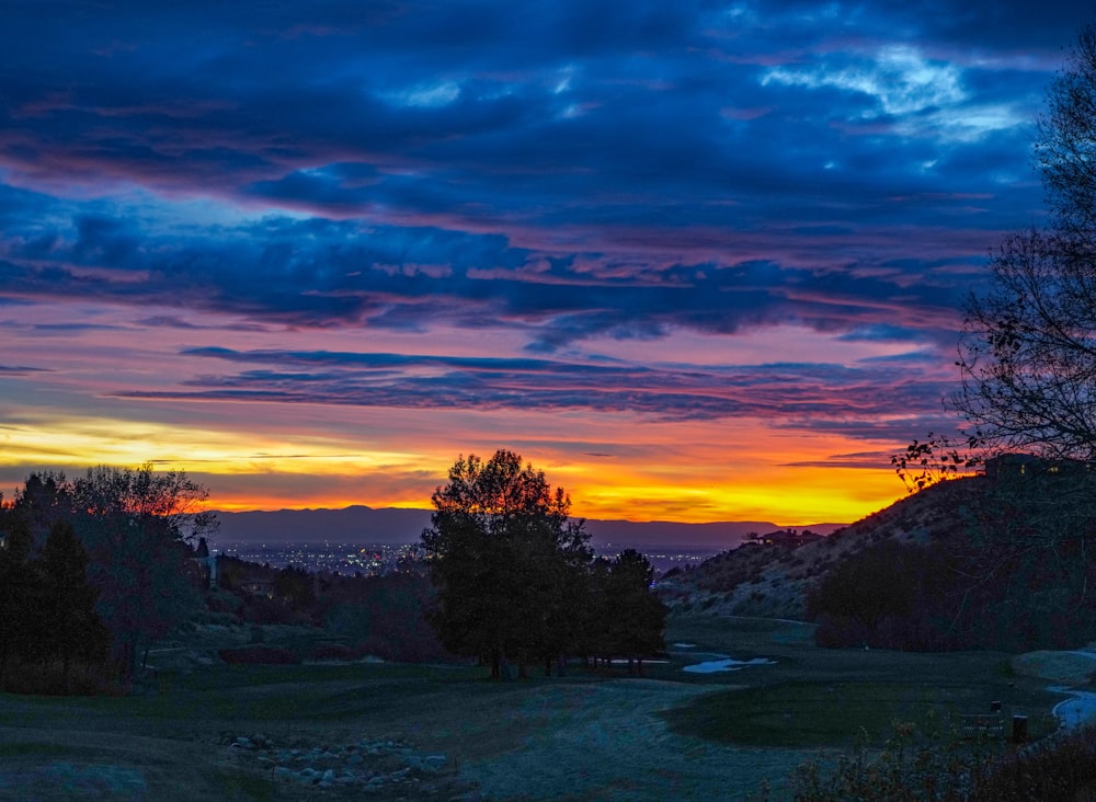 hill with trees at sunset