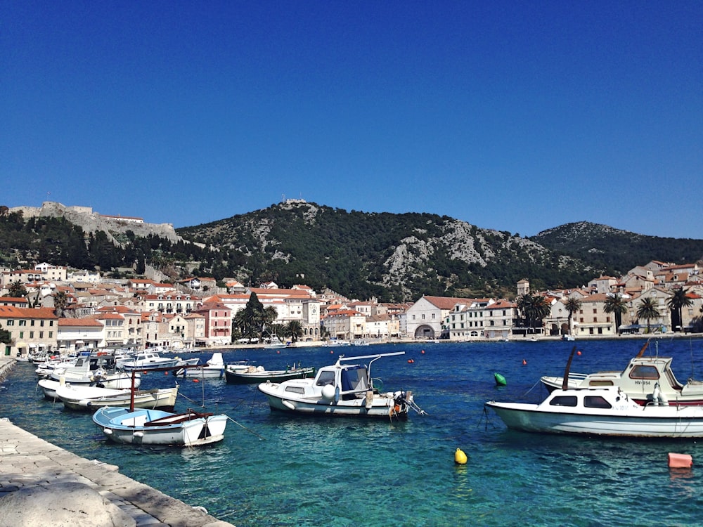 white sailboats on body of water near houses