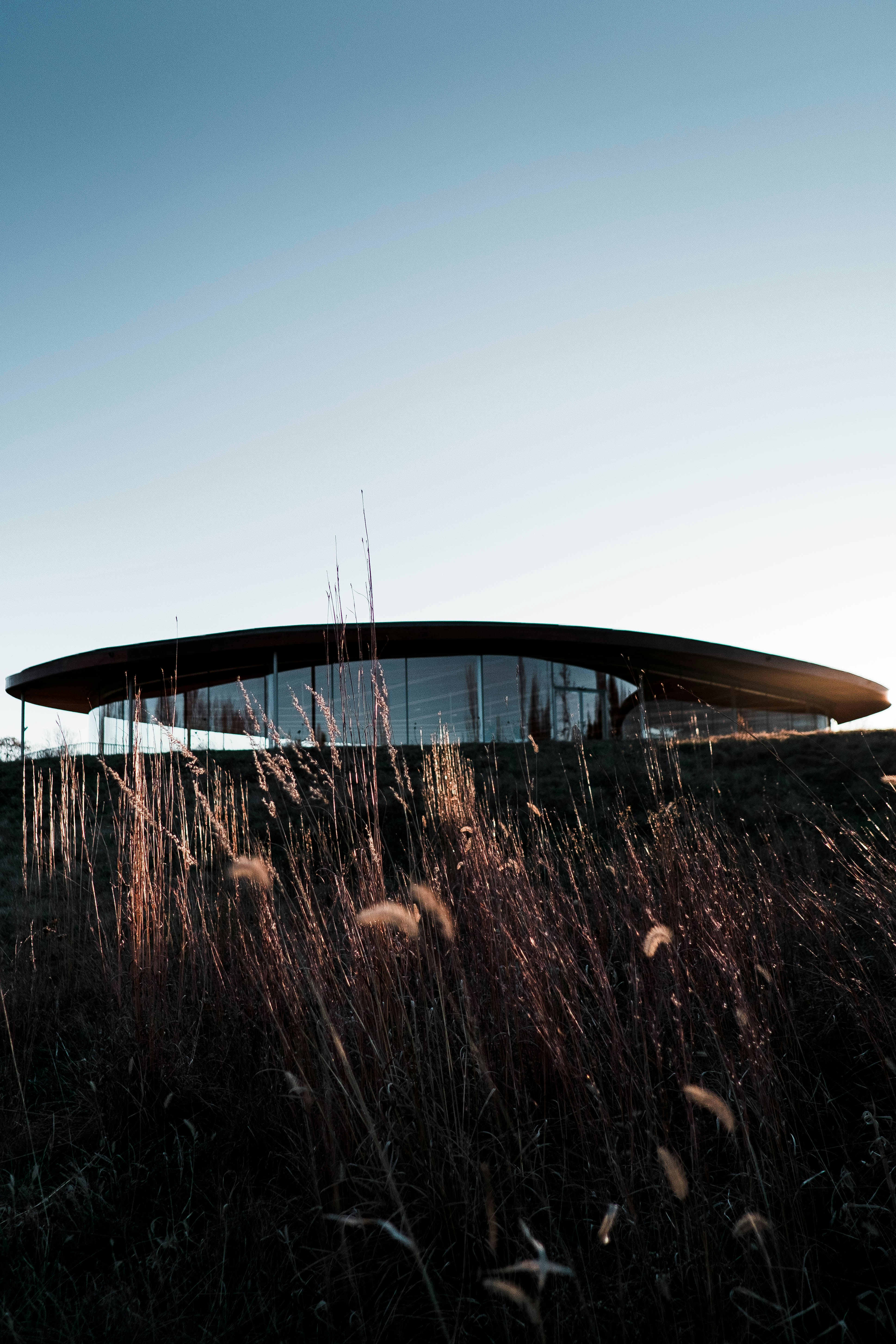 Photo by davidgaviphoto