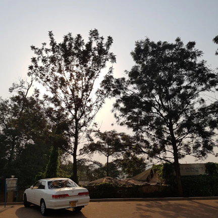 Peaceful outdoor parking area with easy access and shaded spots at Casa Serenă.