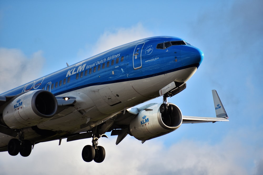 blue and white aircraft