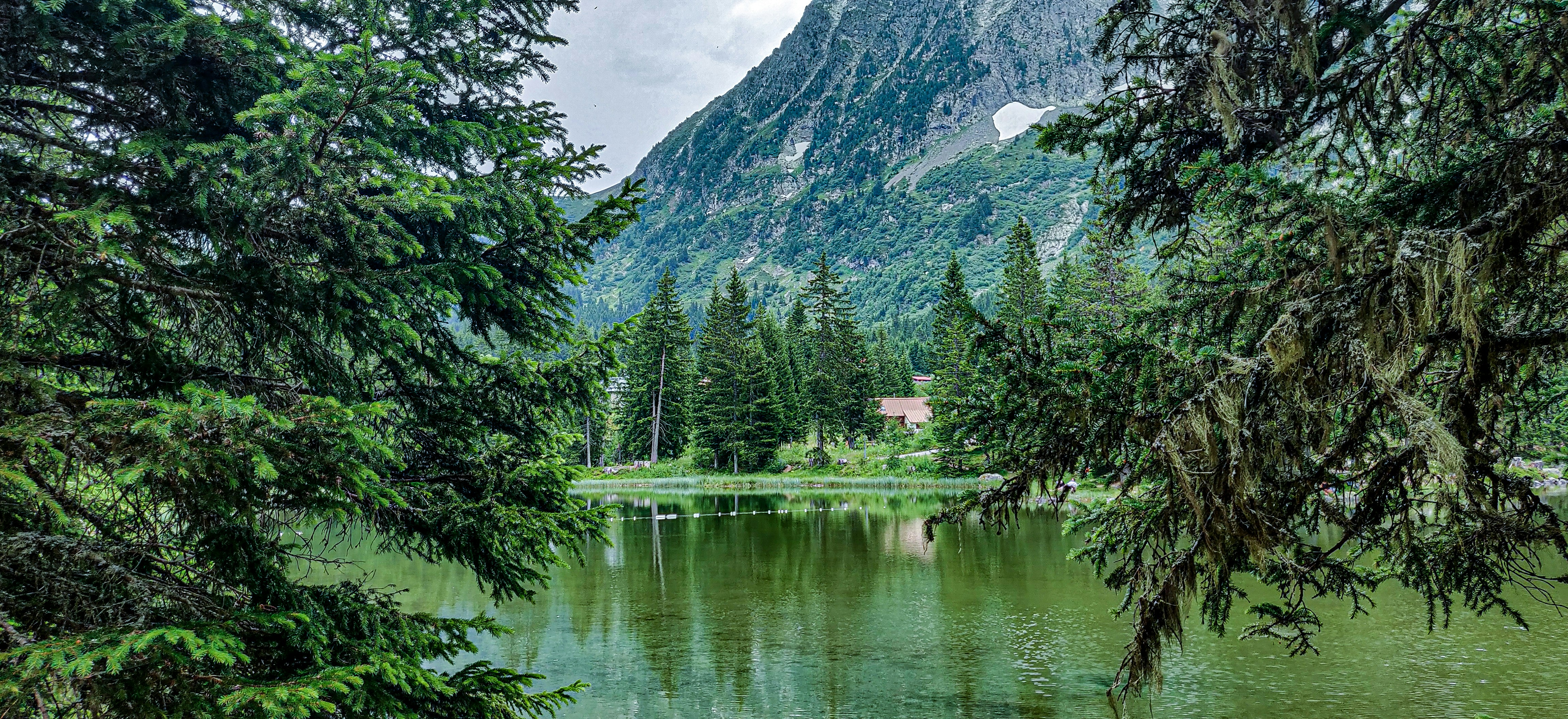 body of water and field with grass and trees during day