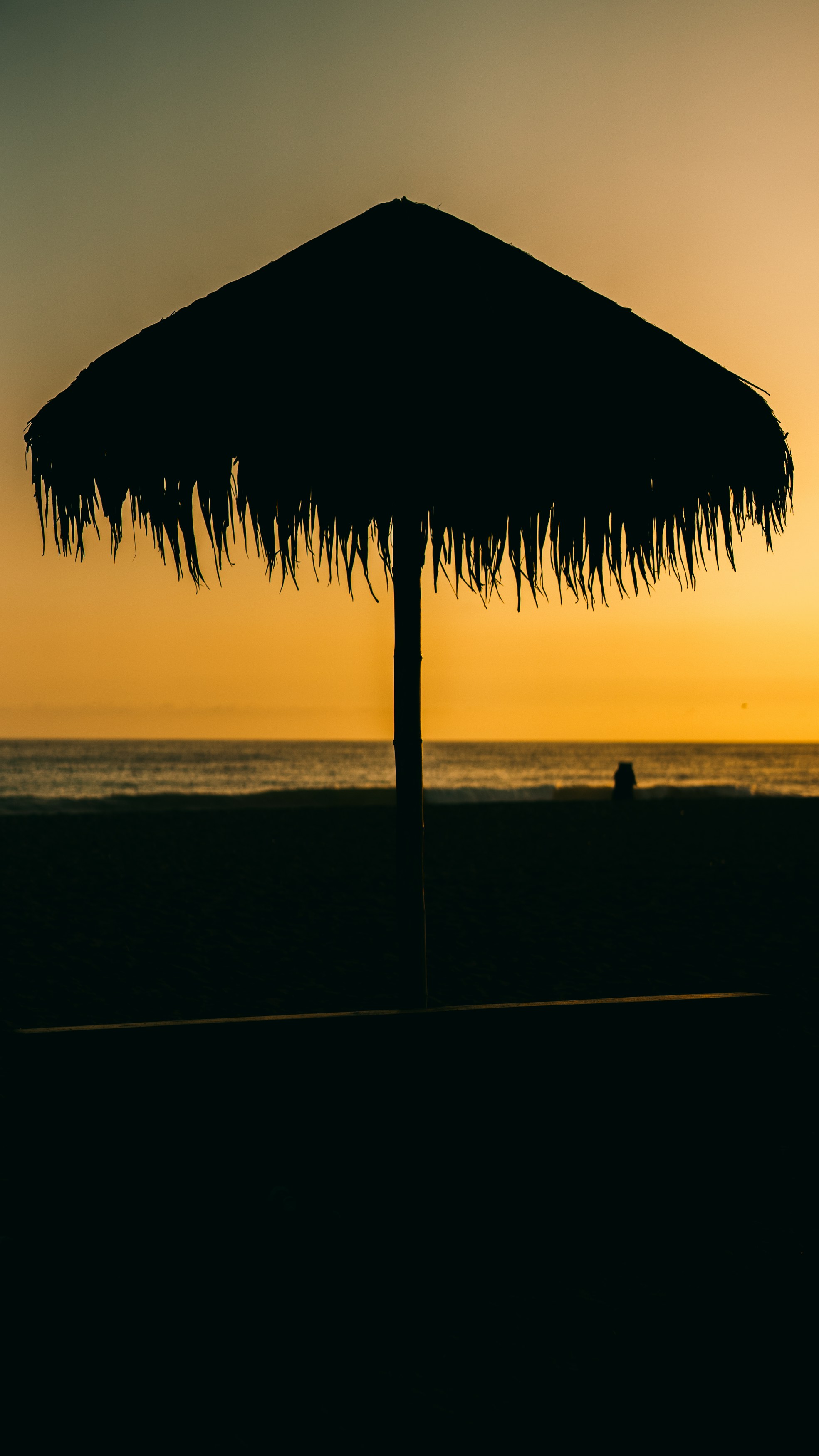 Photo by mauriciogutierreztello