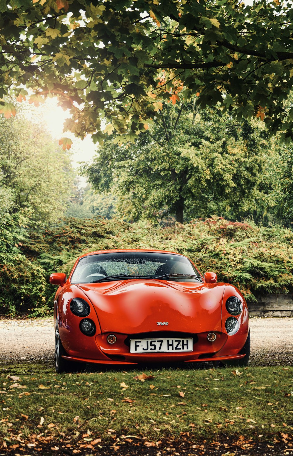 red supercar on grass