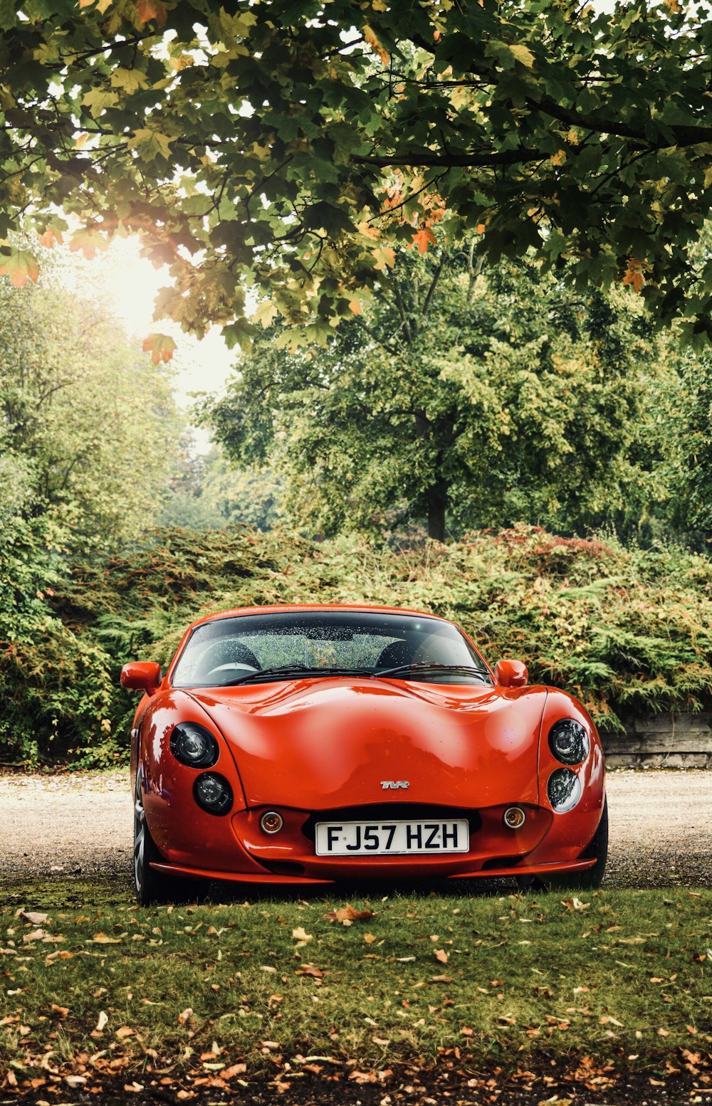 Supercar rouge sur l’herbe