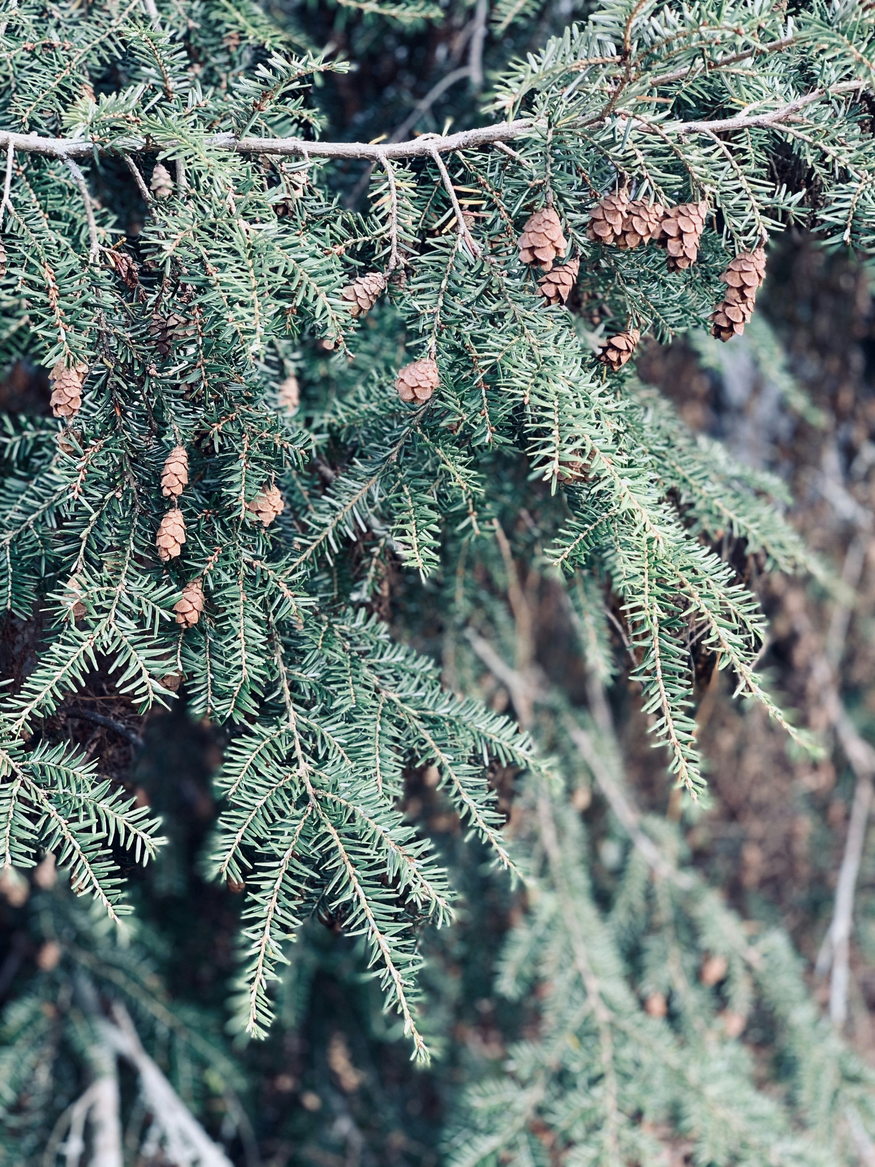 Photo by anistongrace