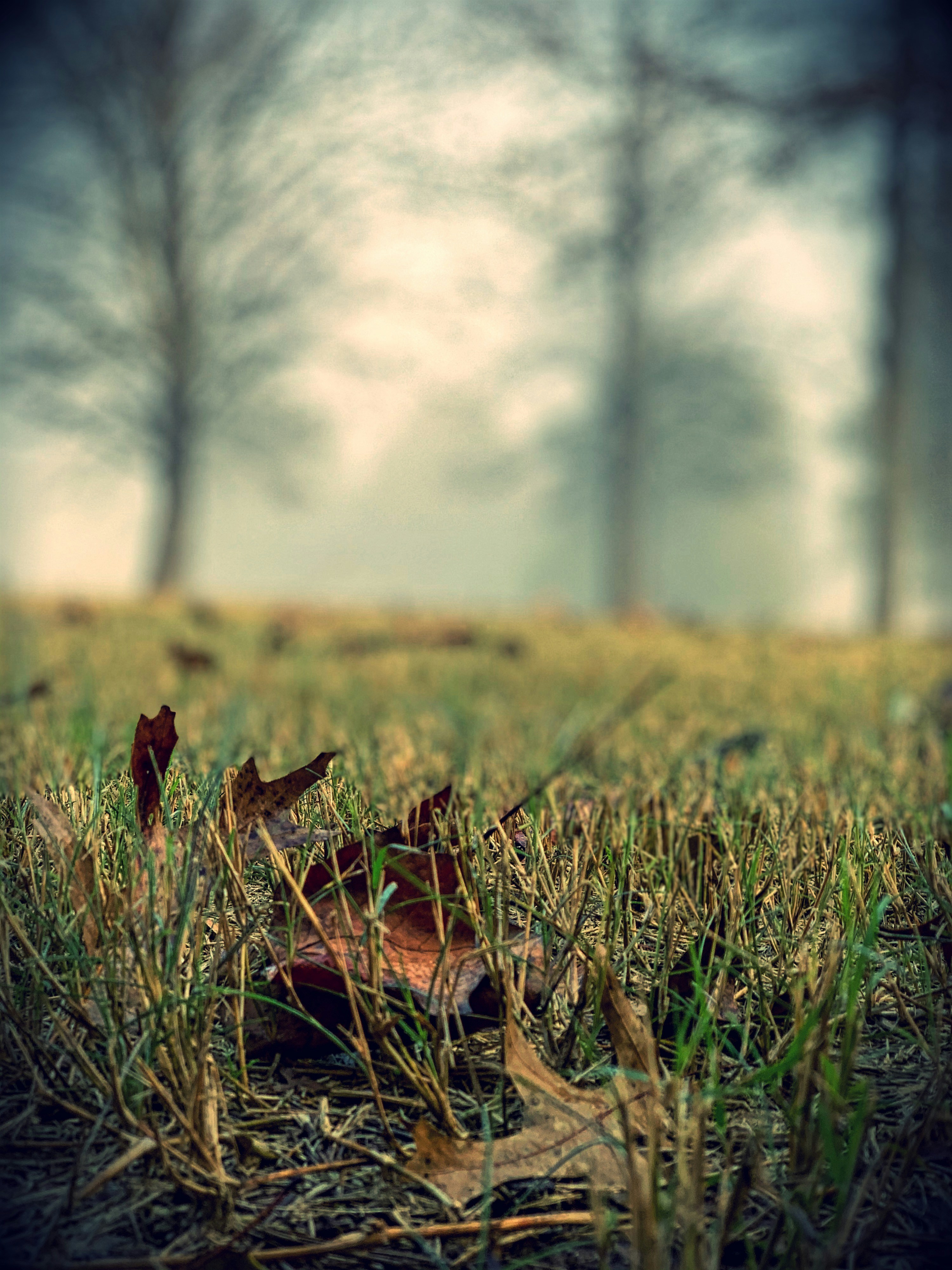 Photo by anistongrace