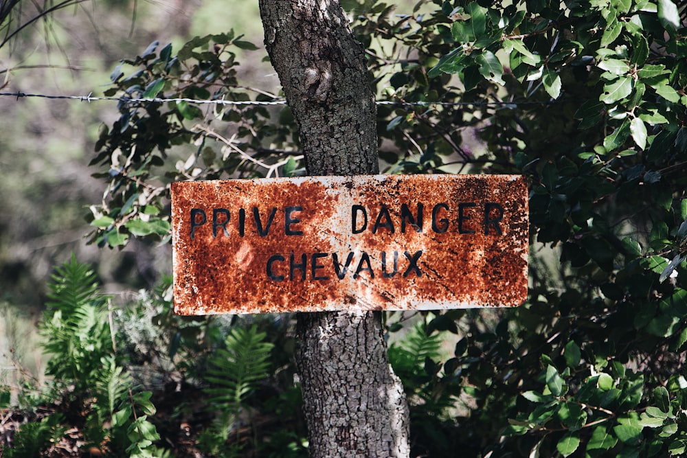 shallow focus photo of brown signage