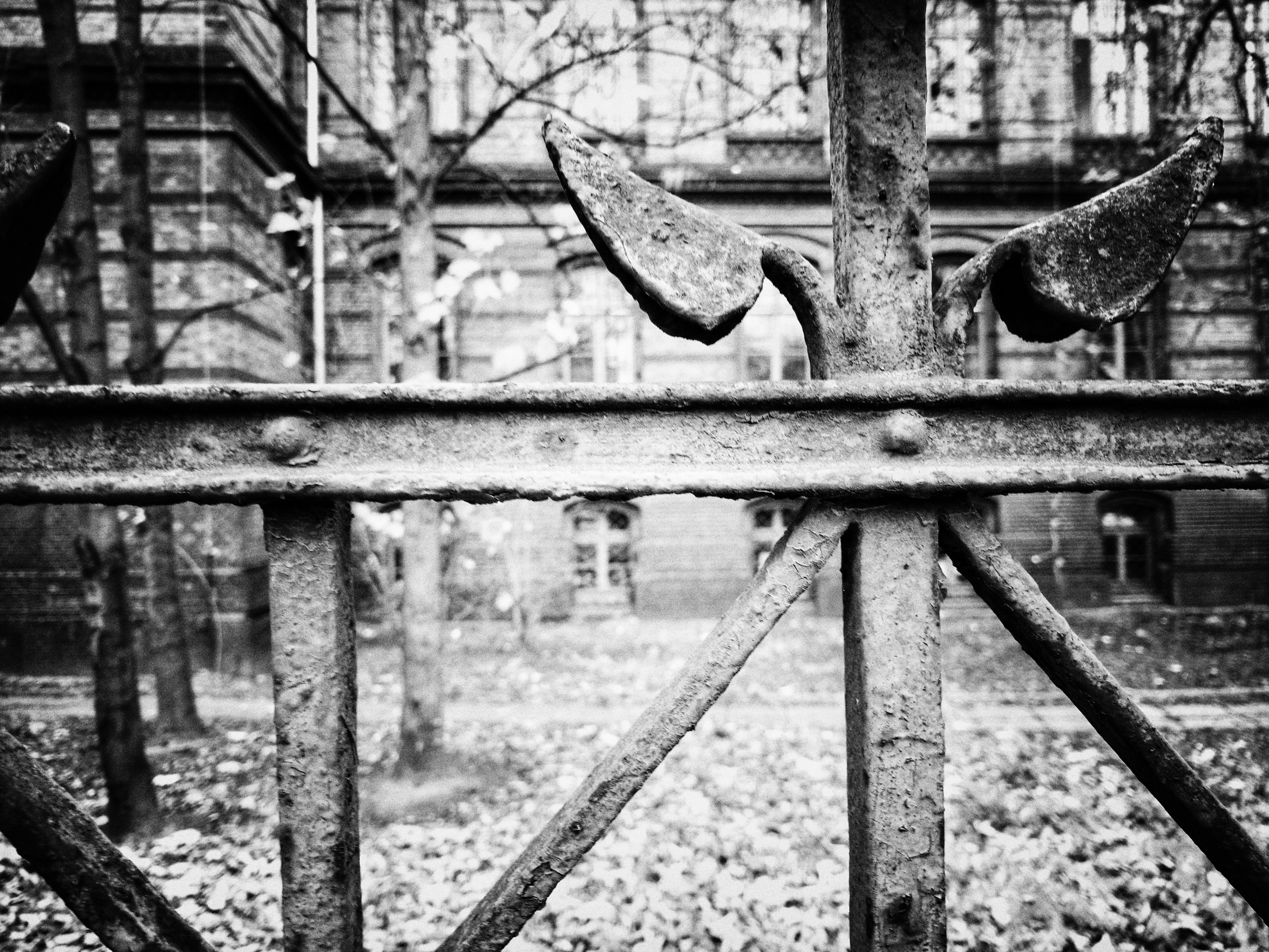 Photo by positivetourettes