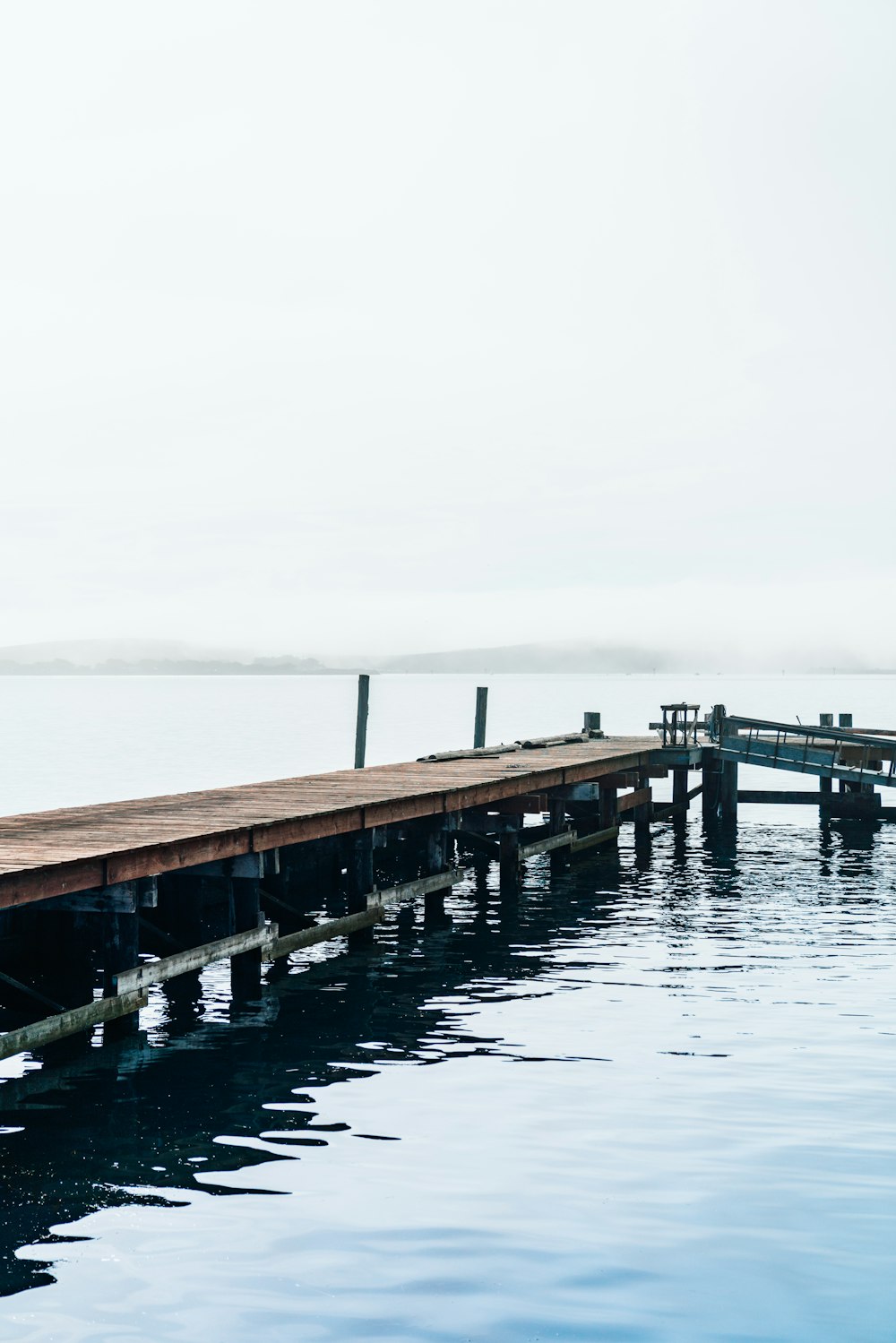 brown wooden dock near body of water