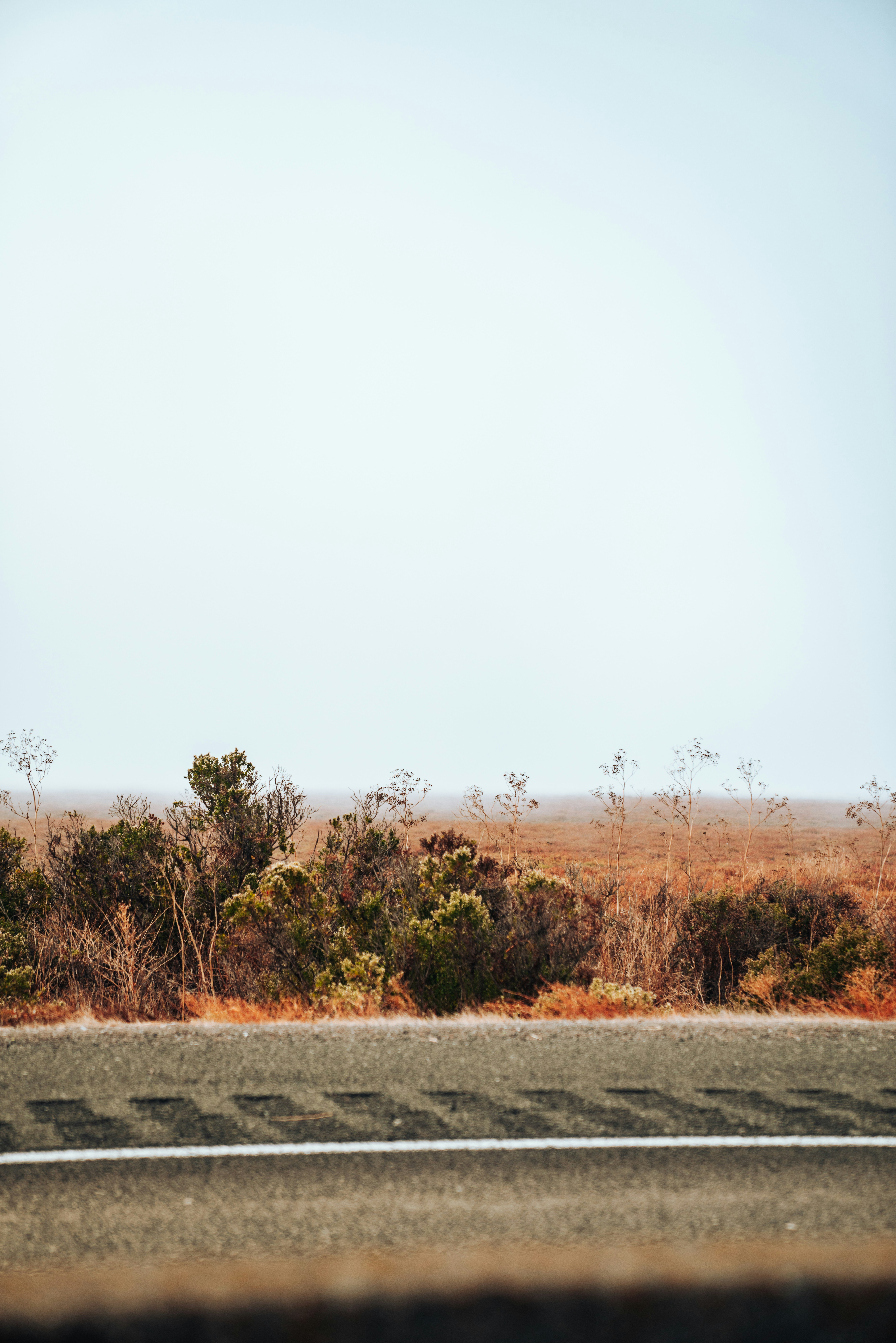 Photo by merittthomas