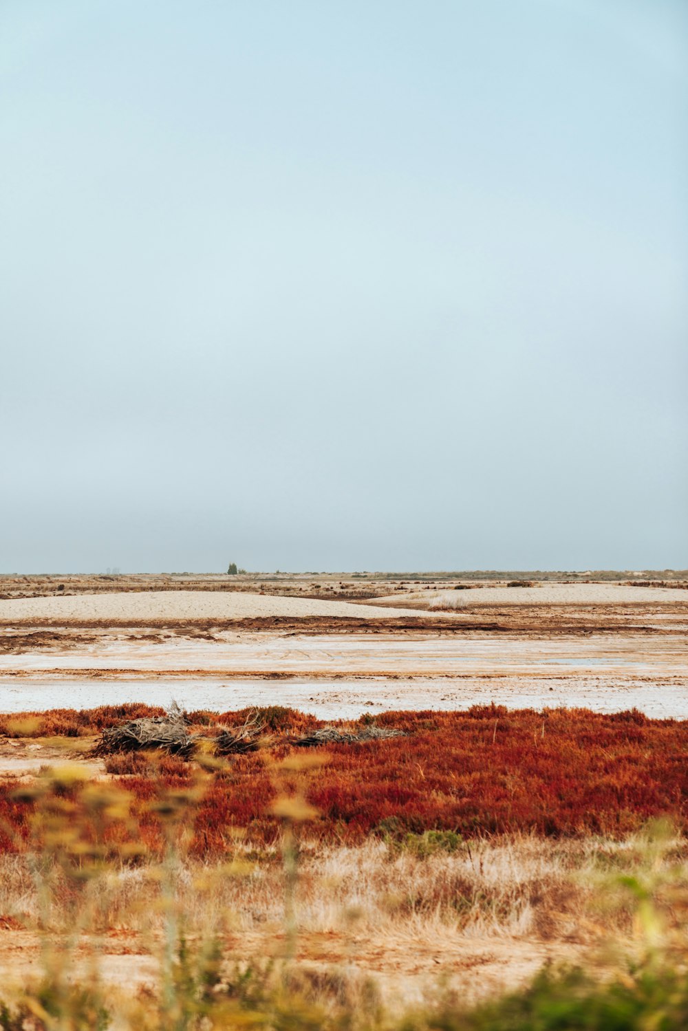 grass and soil field