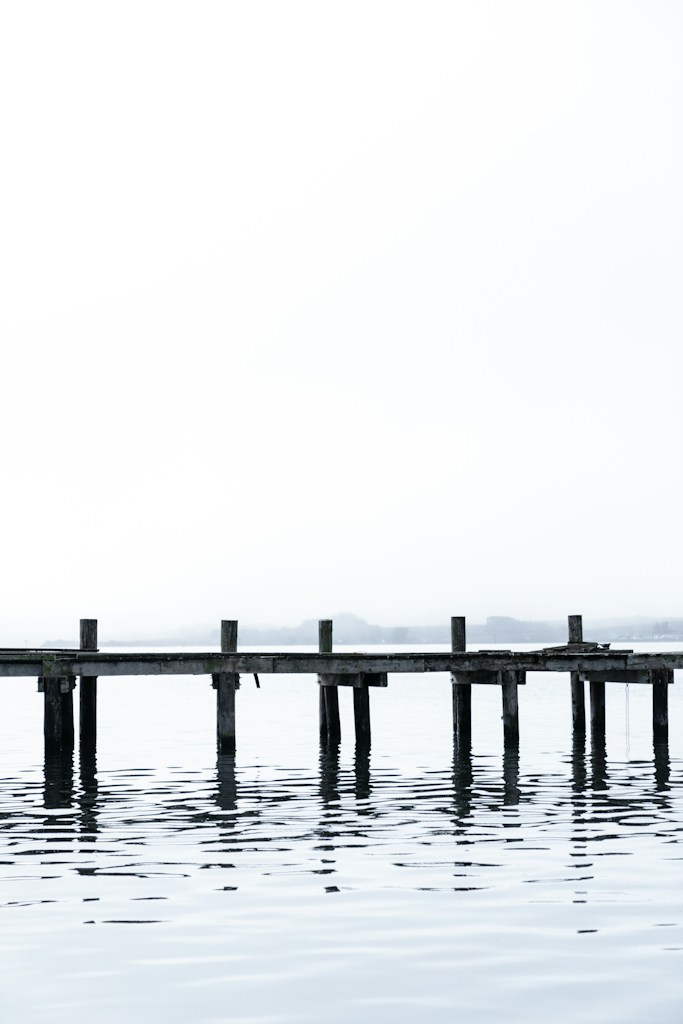 Into Stillness