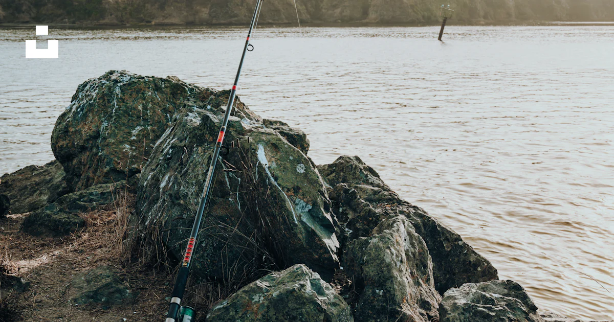 Fishing Line In Rocks Fishing rod resting on rocks photo – Free Bodega bay Image on Unsplash
