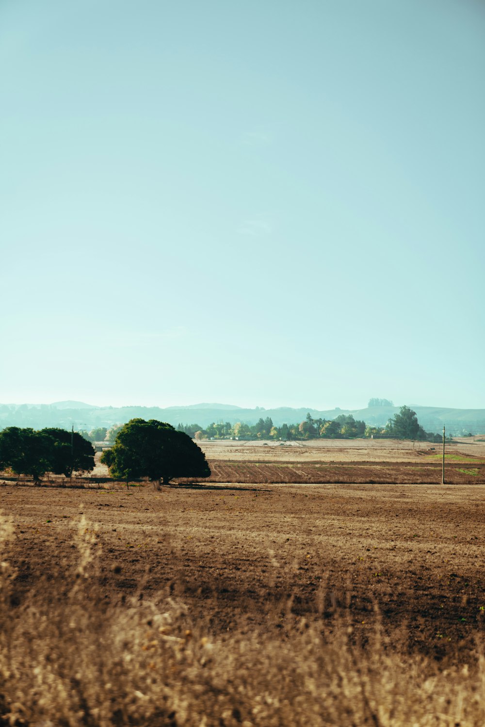 grass field during daytime