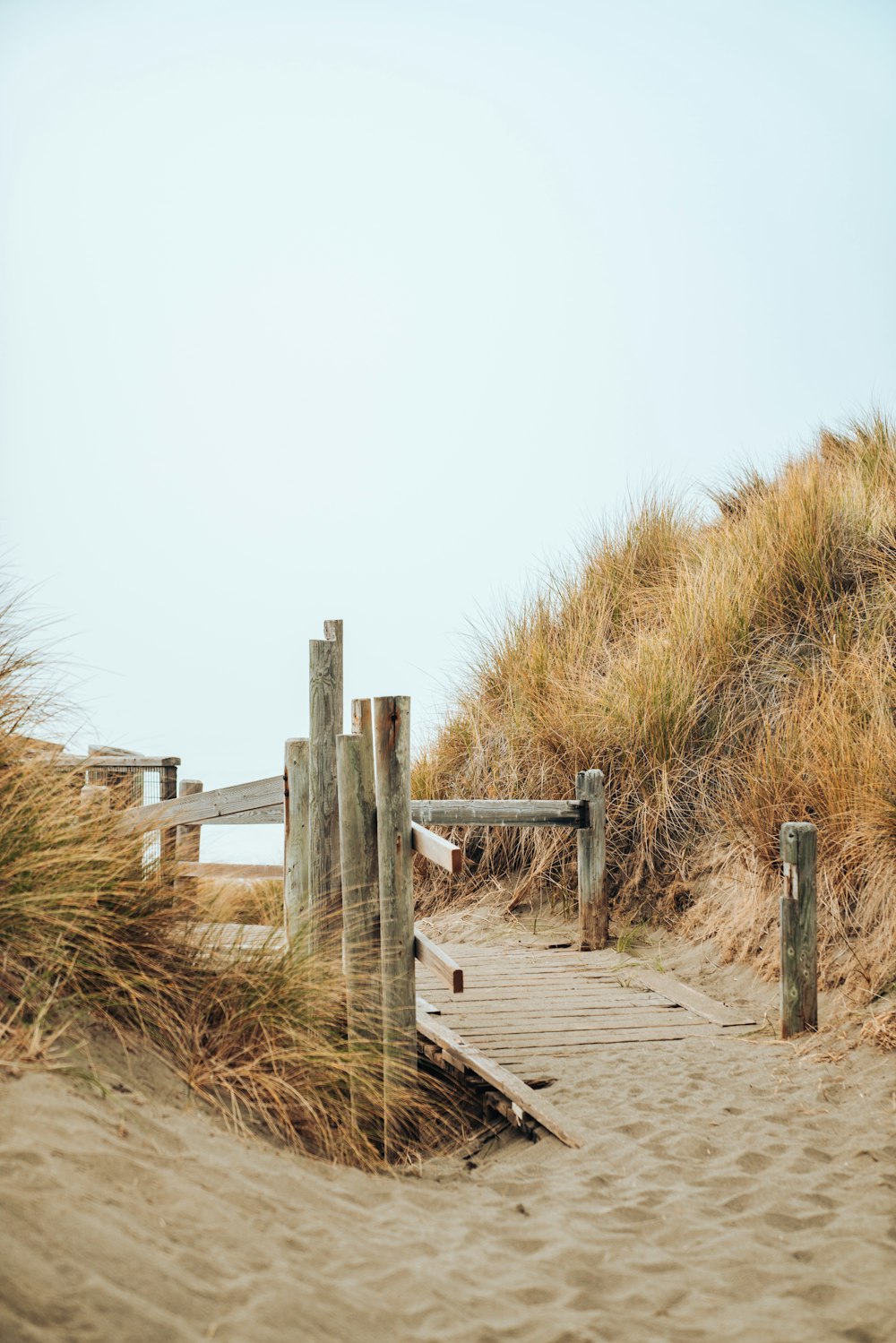 brown wooden with railing pathway on shore during day