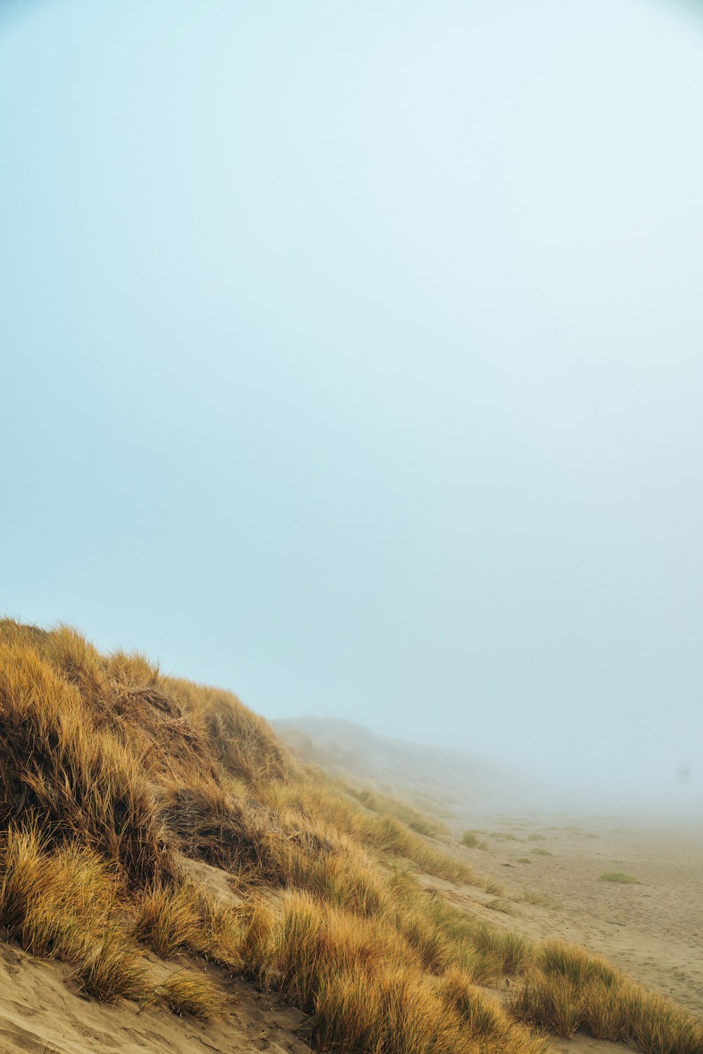 mountains under cloudy sky