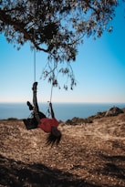 woman riding a swing under a tree