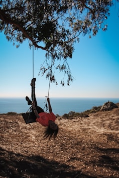 woman riding a swing under a tree