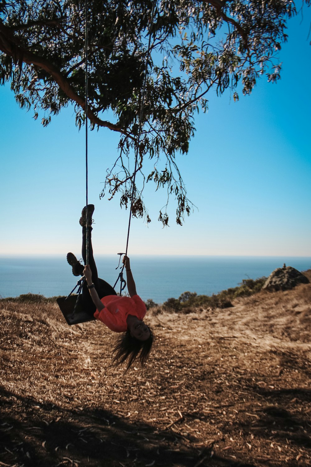 woman riding a swing under a tree