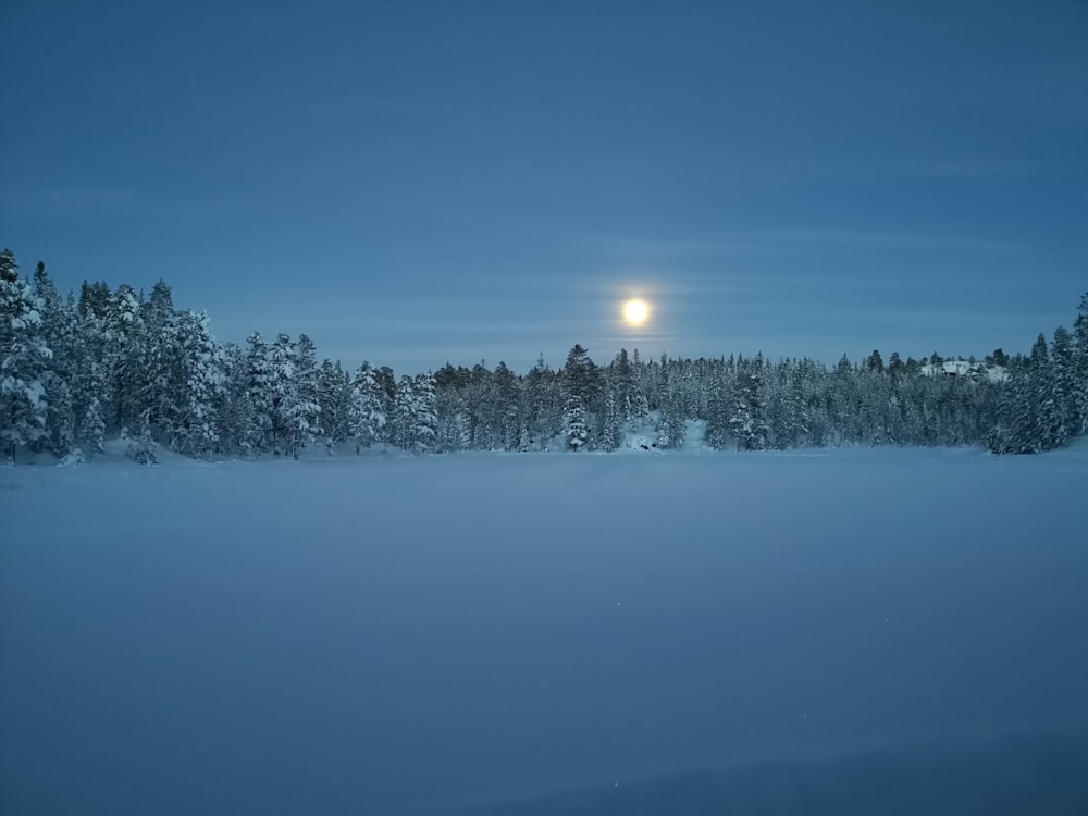 snow field