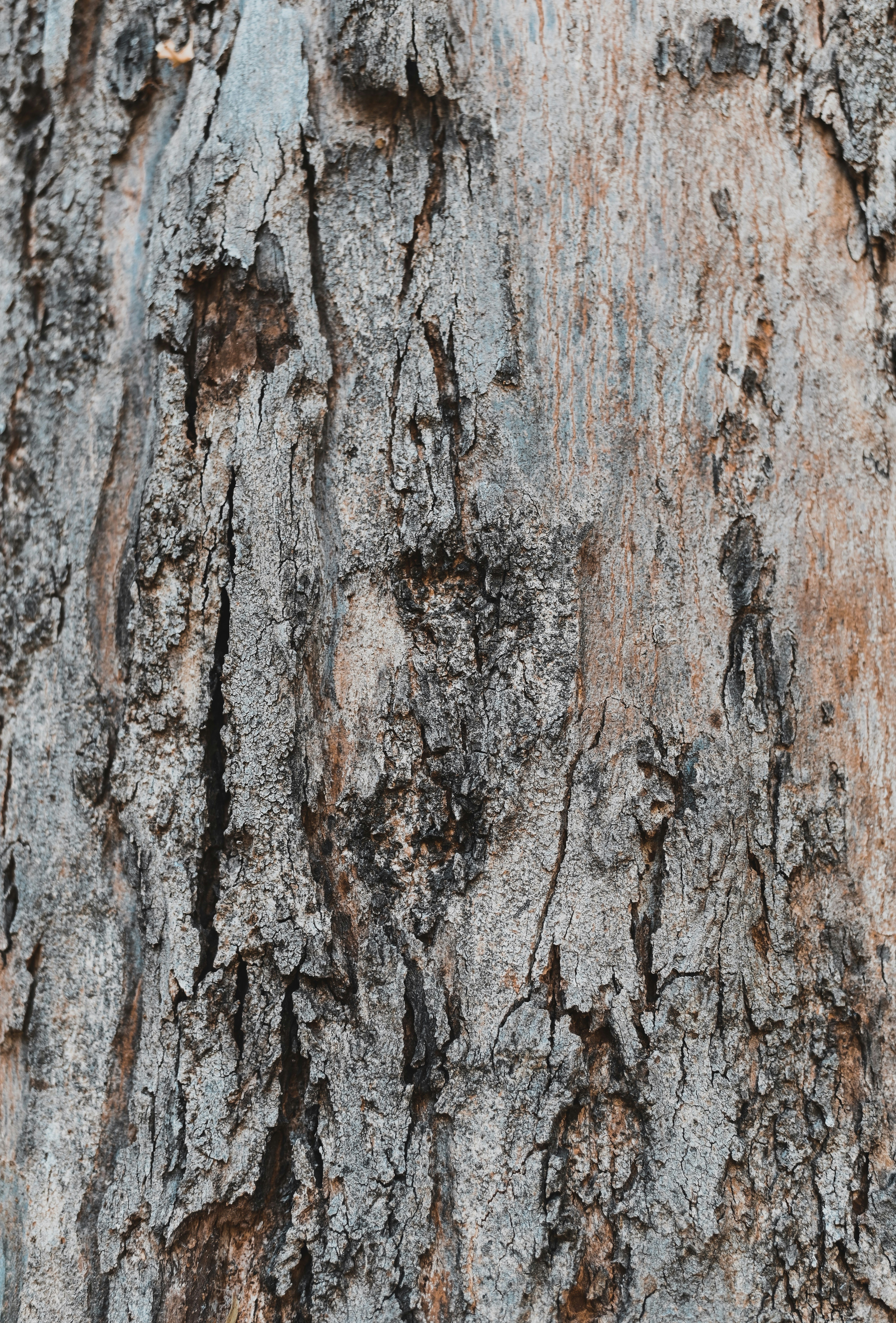 Photo by christopherstark