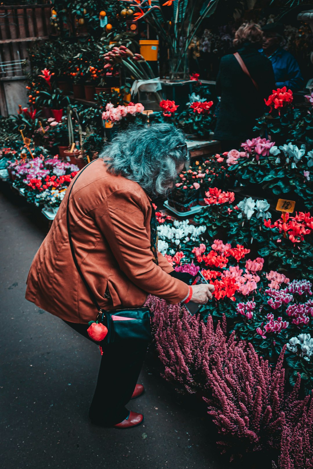 person in brown jacket picking red flowers