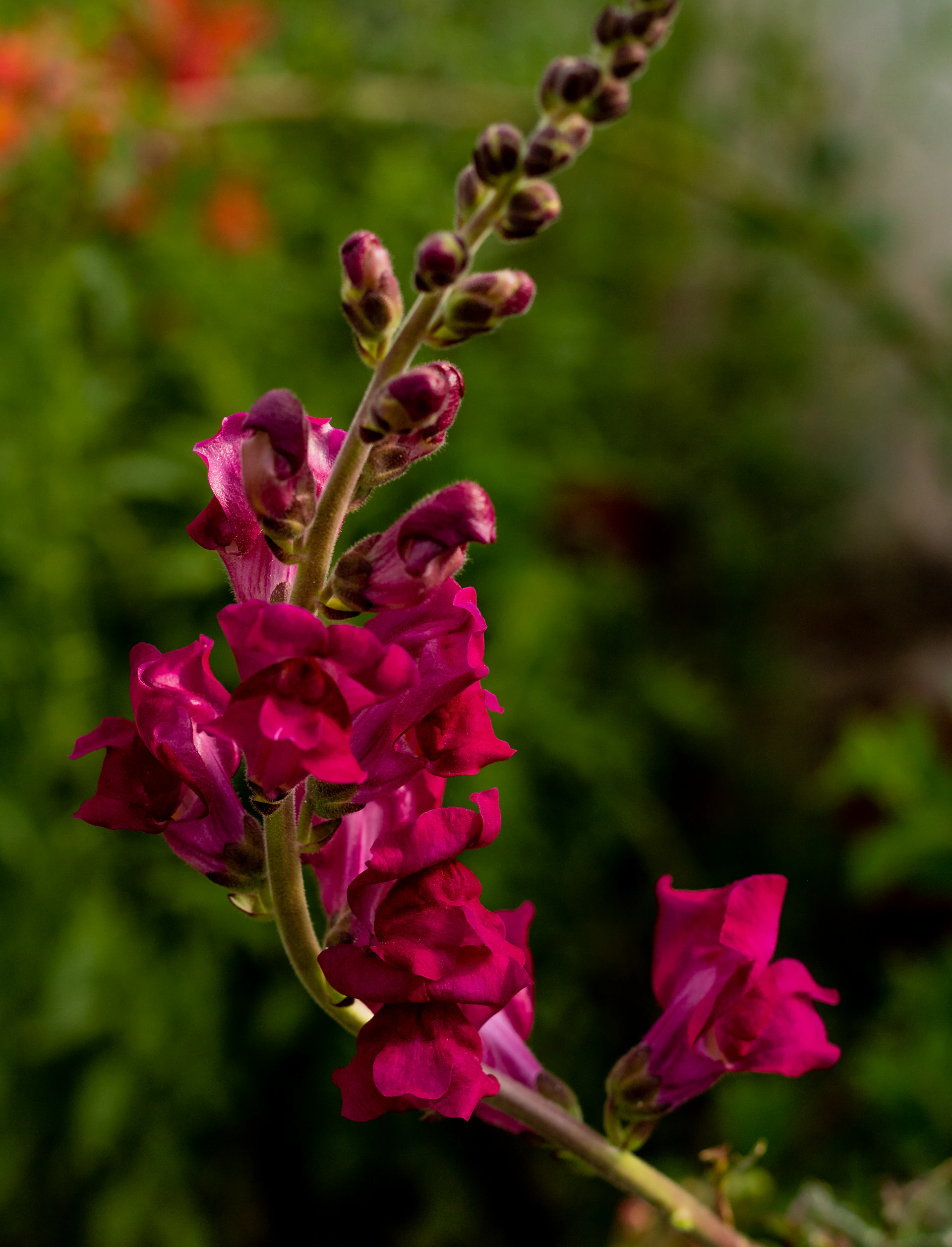 woman wearing yellow long-sleeved dress under white clouds and blue sky during daytime
