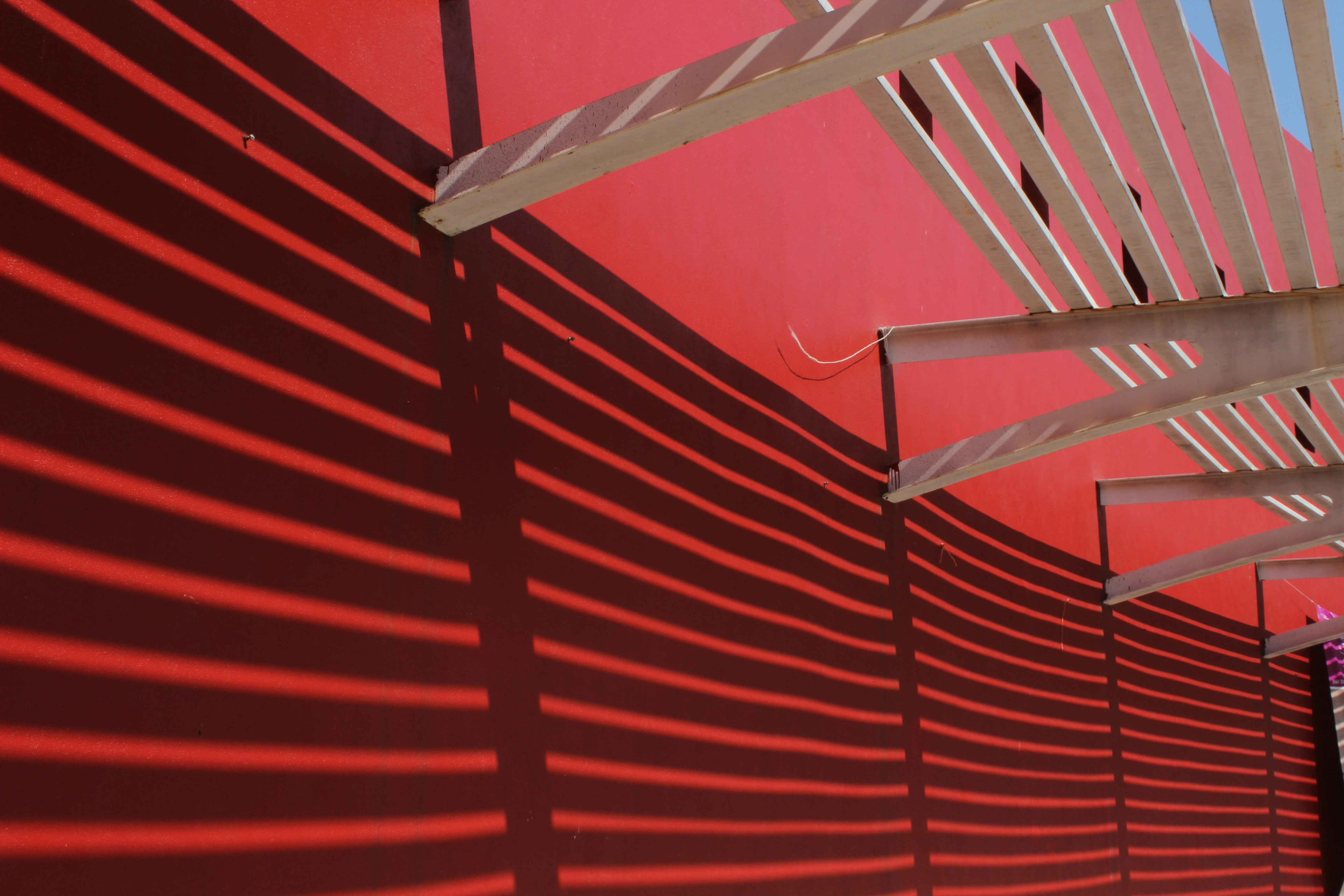 Photo by chimi_davco