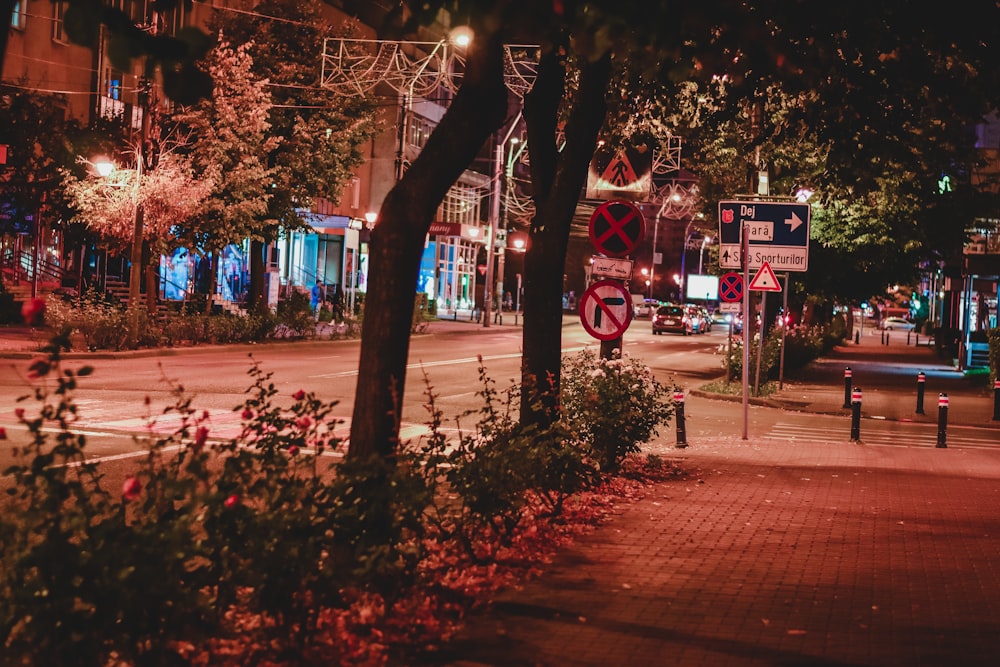 few vehicles on road near buildings during night time