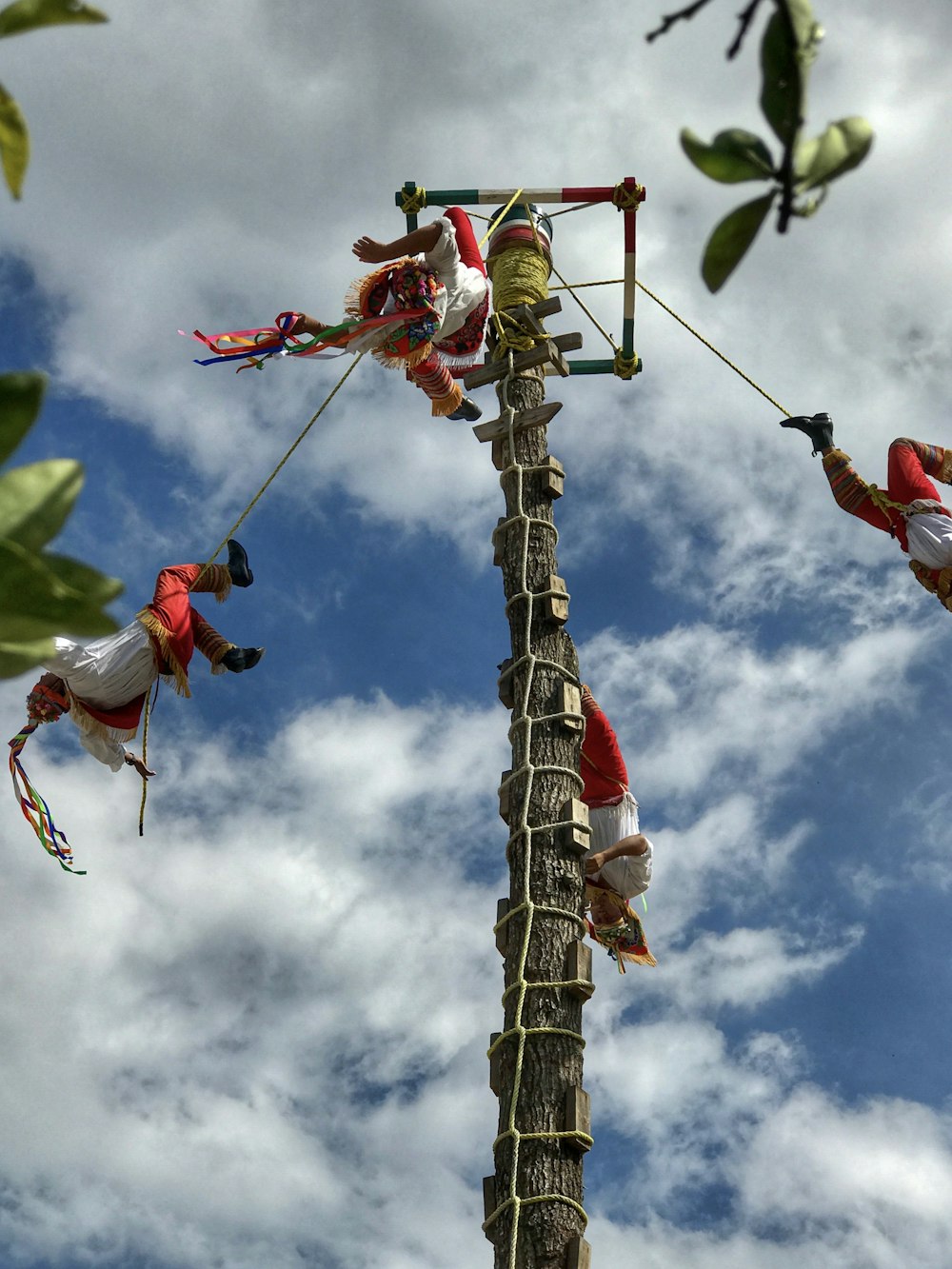 men climing tree